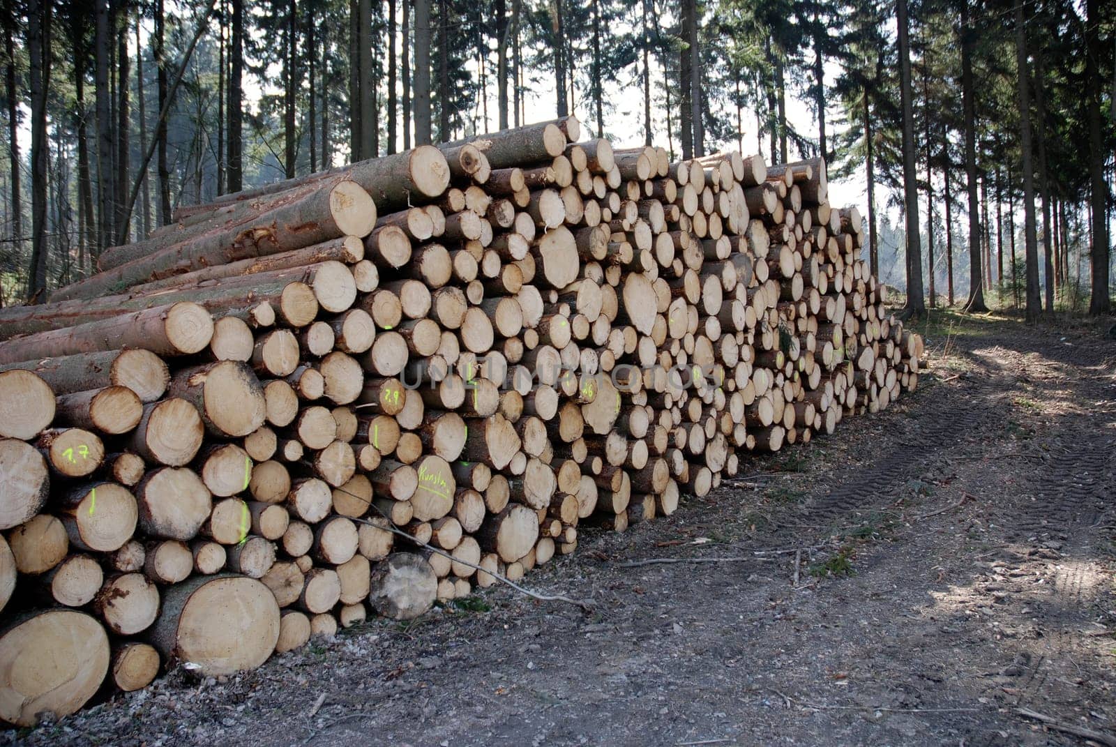 Forestry