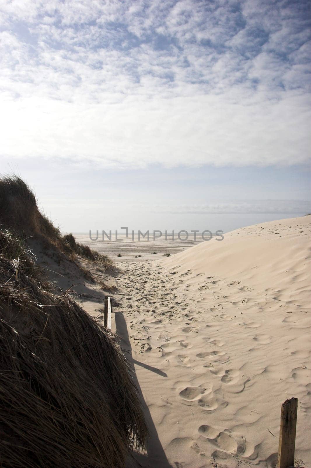Way to the Beach