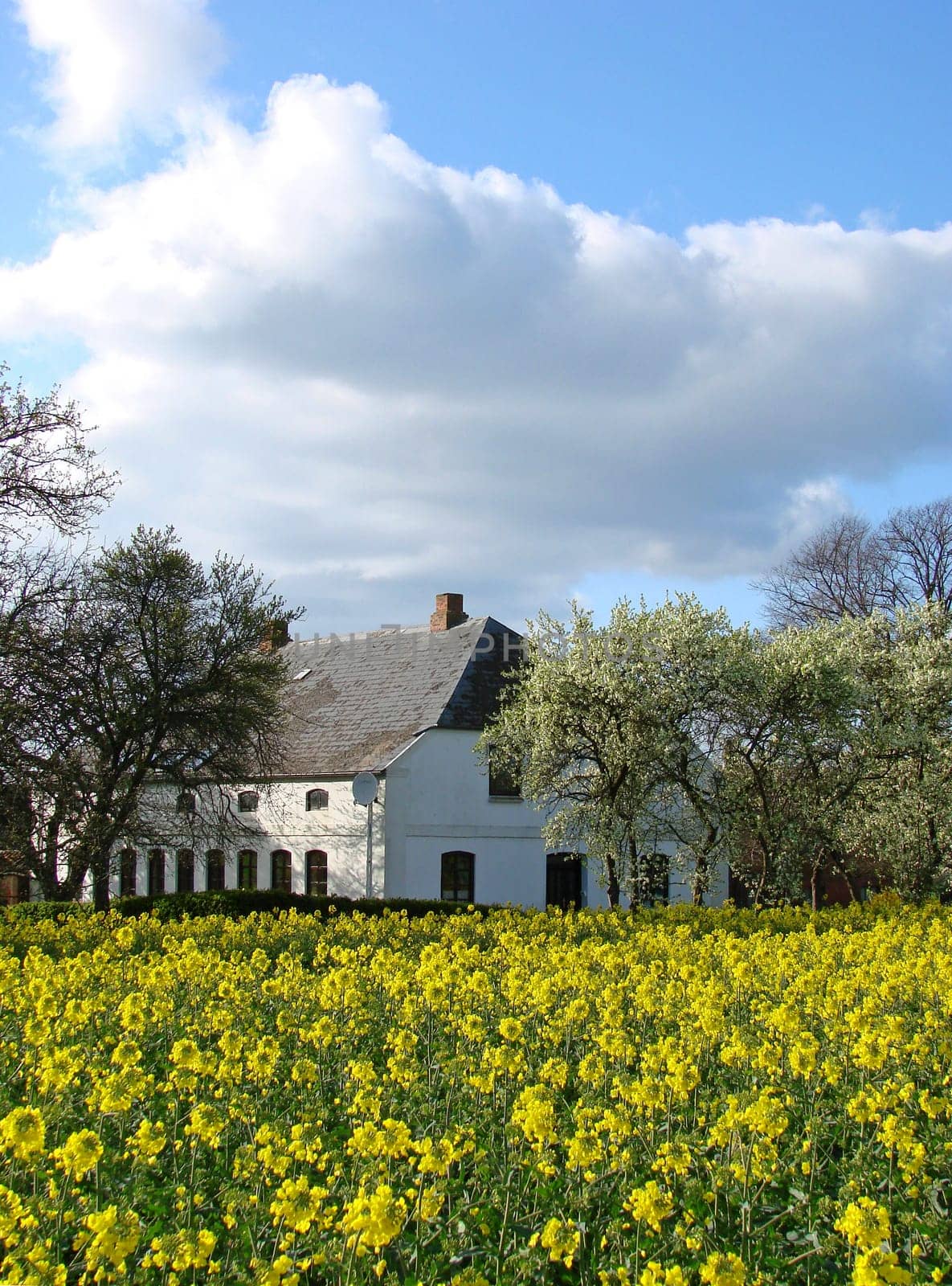 farmhouse