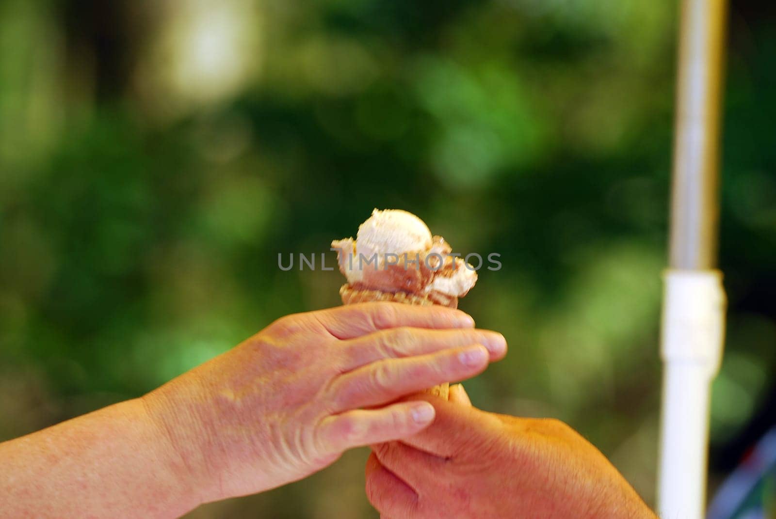 ice or ice winter or ice cream or ice arctic or ice antactica