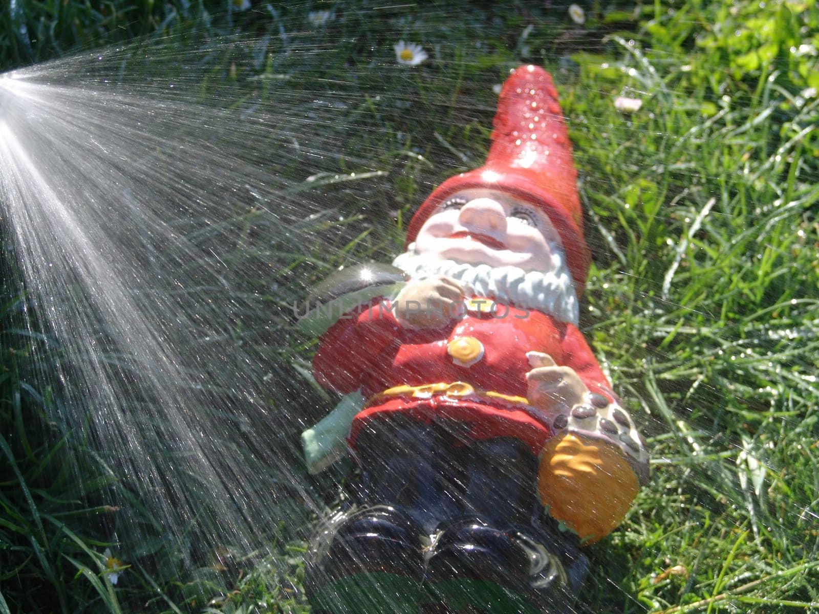 Dwarf Wash
