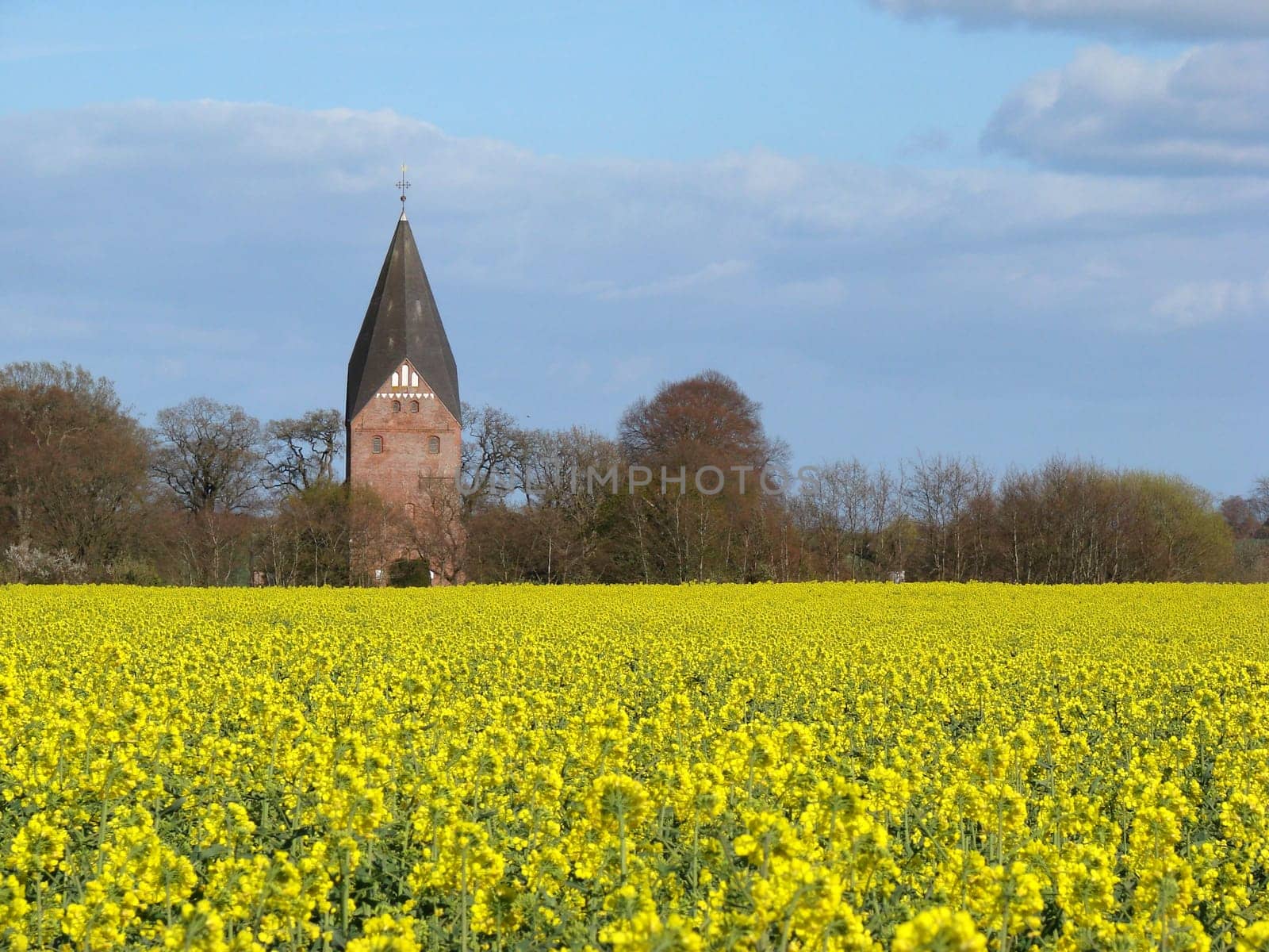 Church and rapeseed field