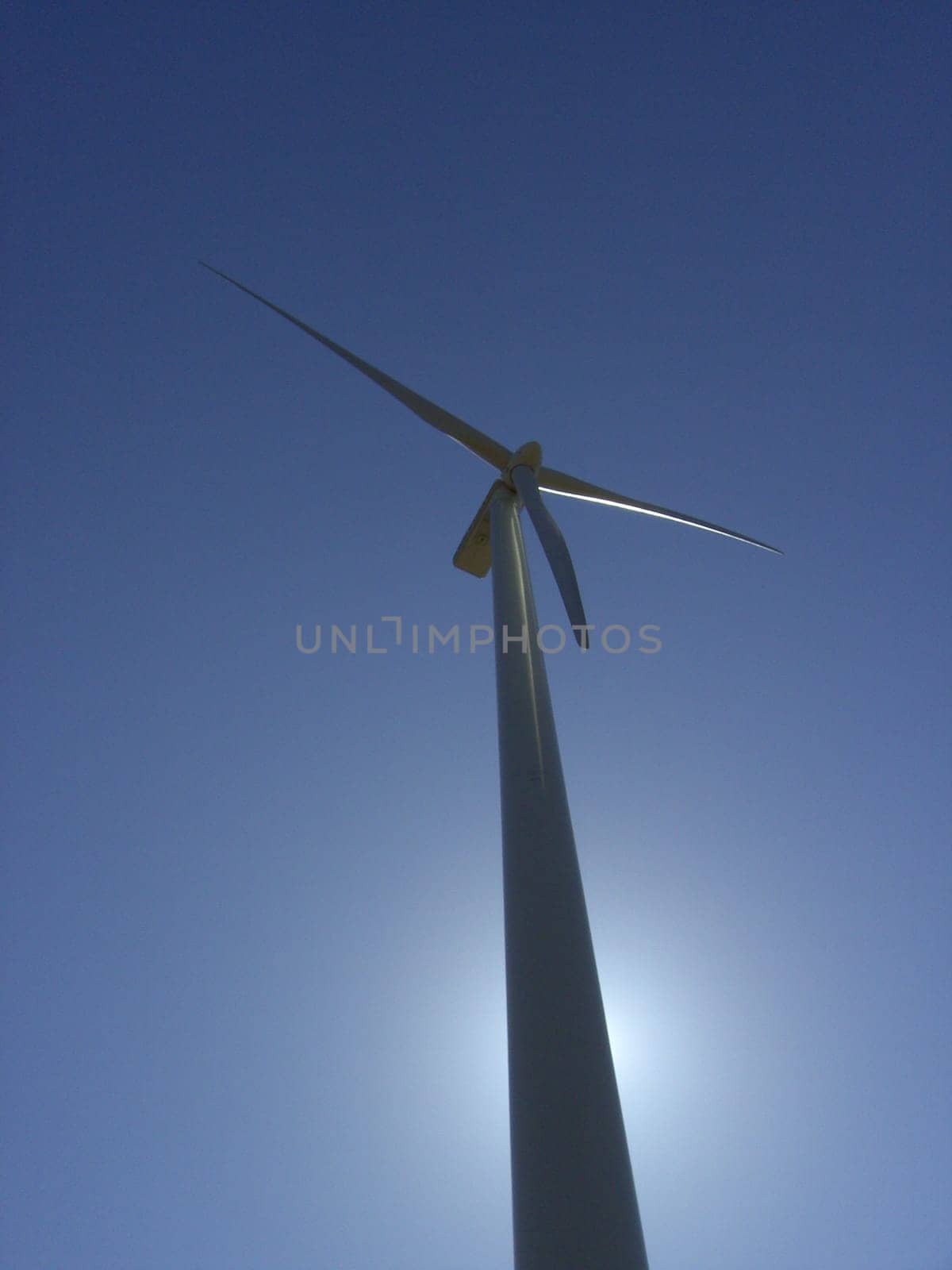 Wind turbine 11