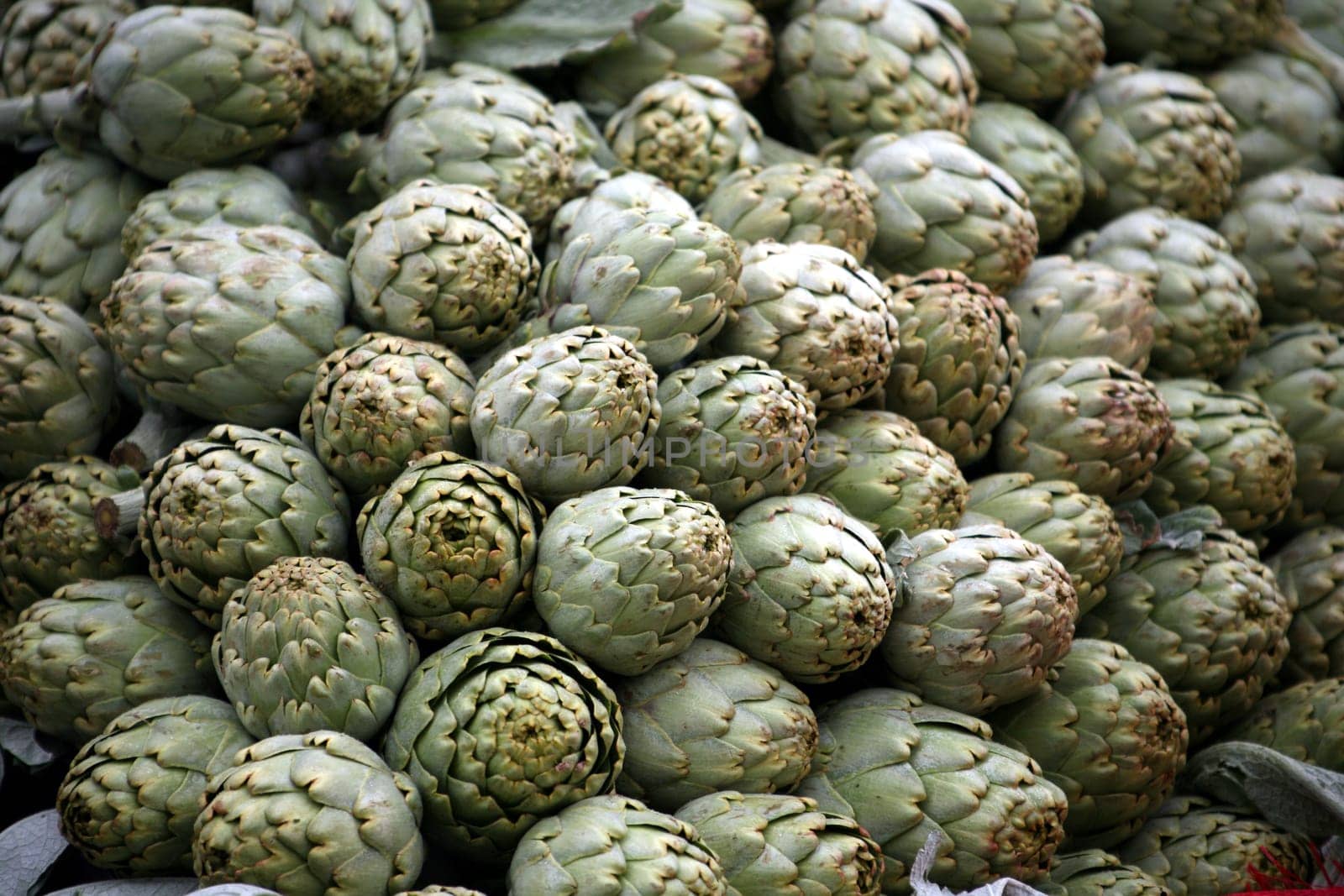 Artichokes