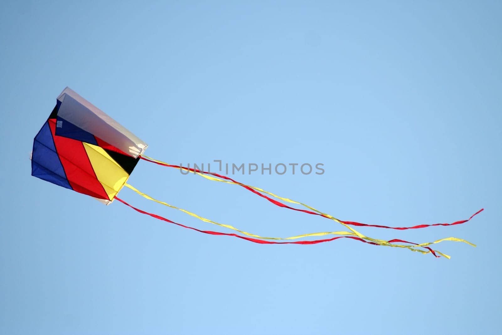 Kite