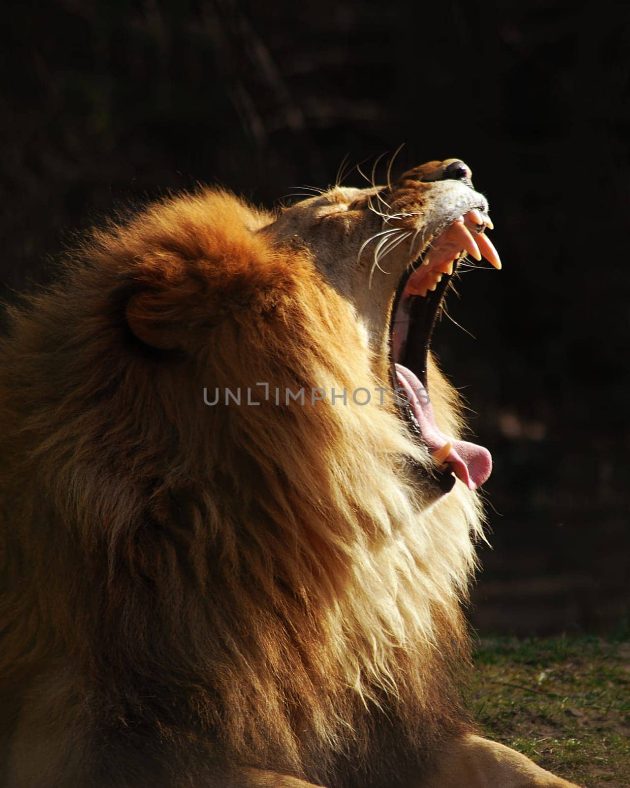 That's pretty much how I feel today....!:-)