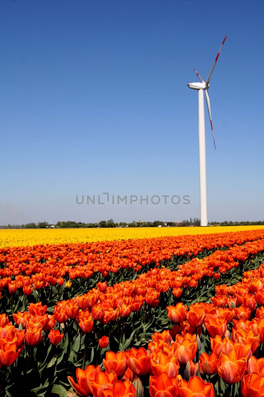 Spring colors