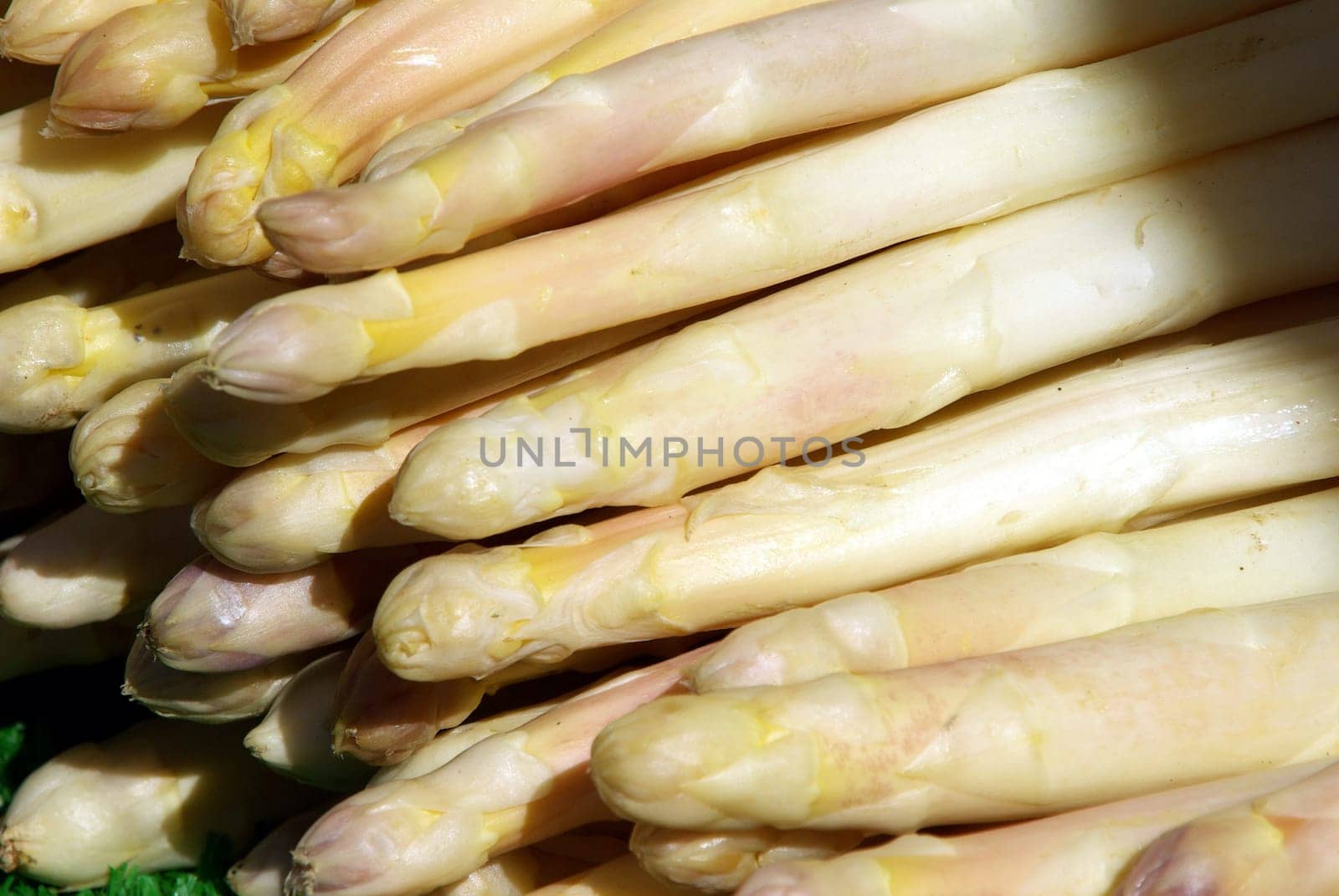 Asparagus2