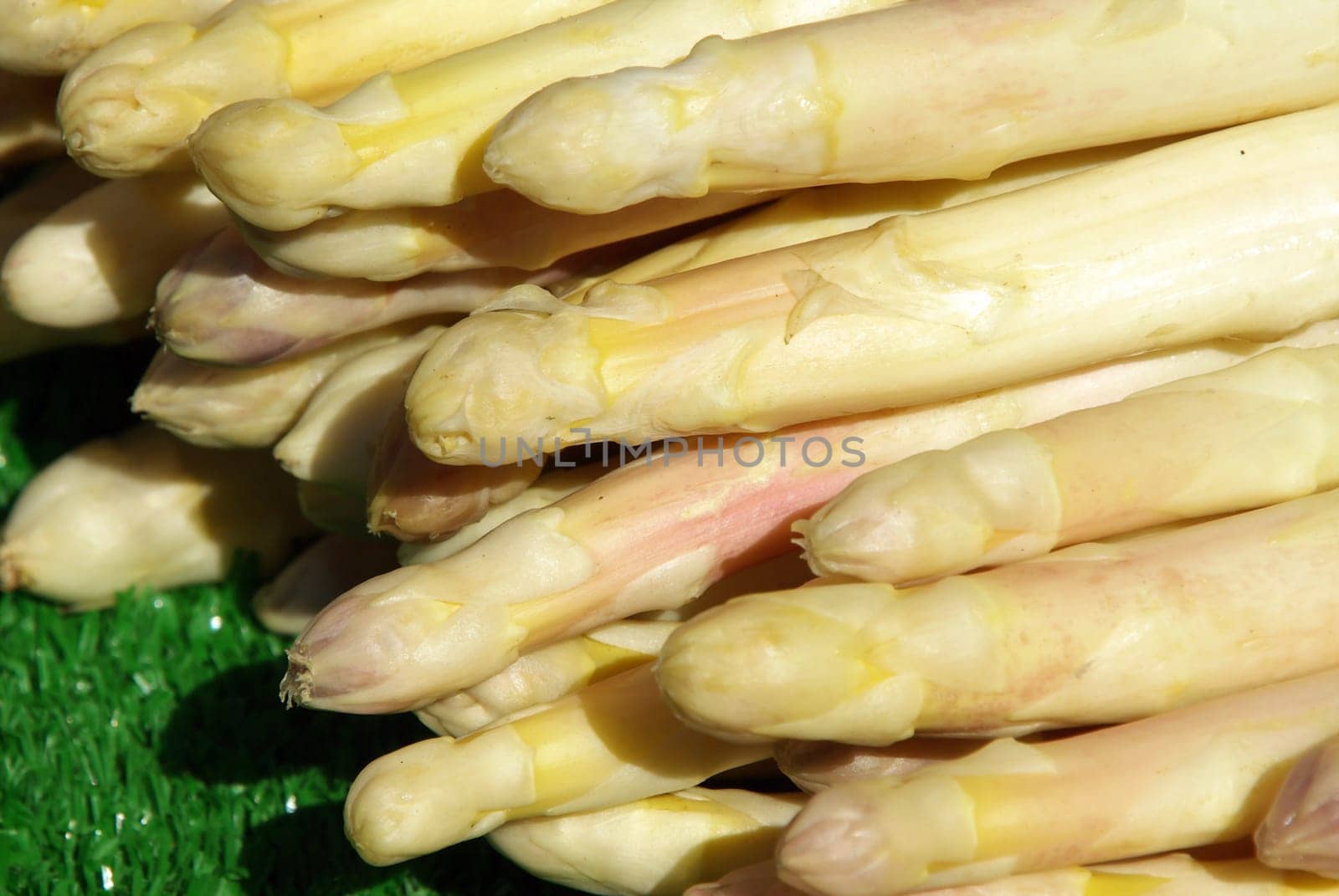 Asparagus1