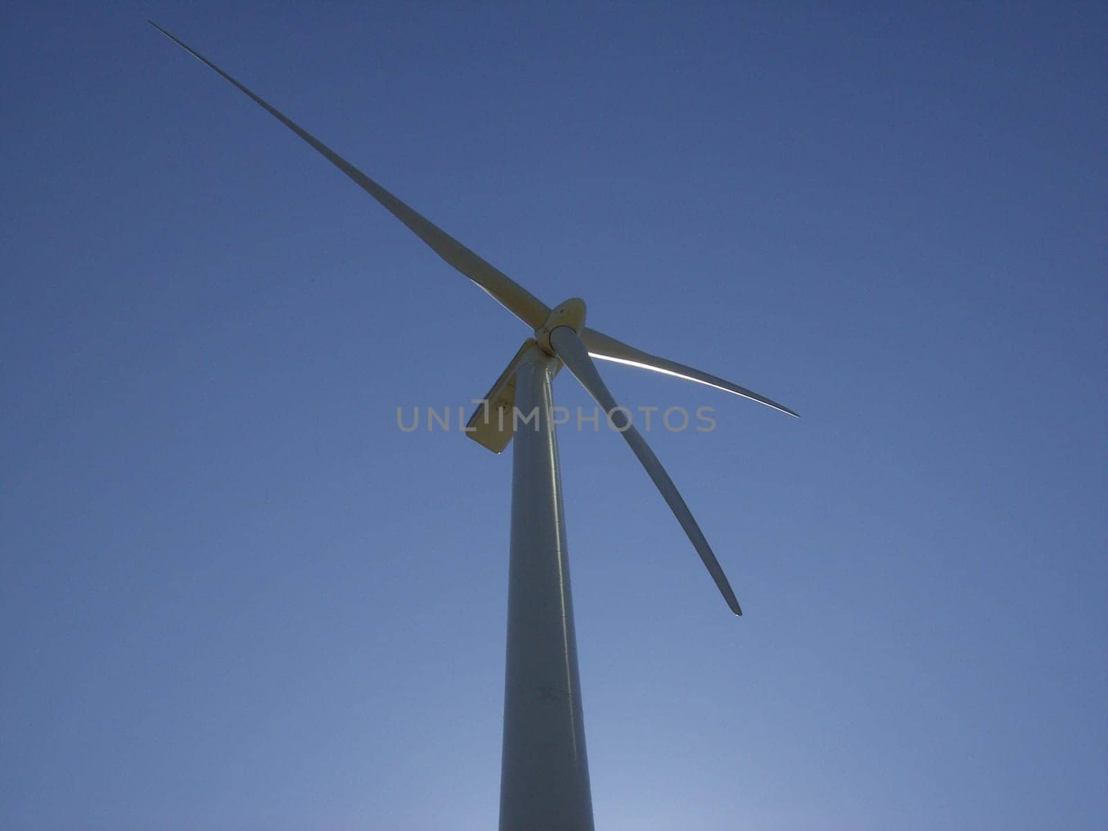 Wind turbine 12