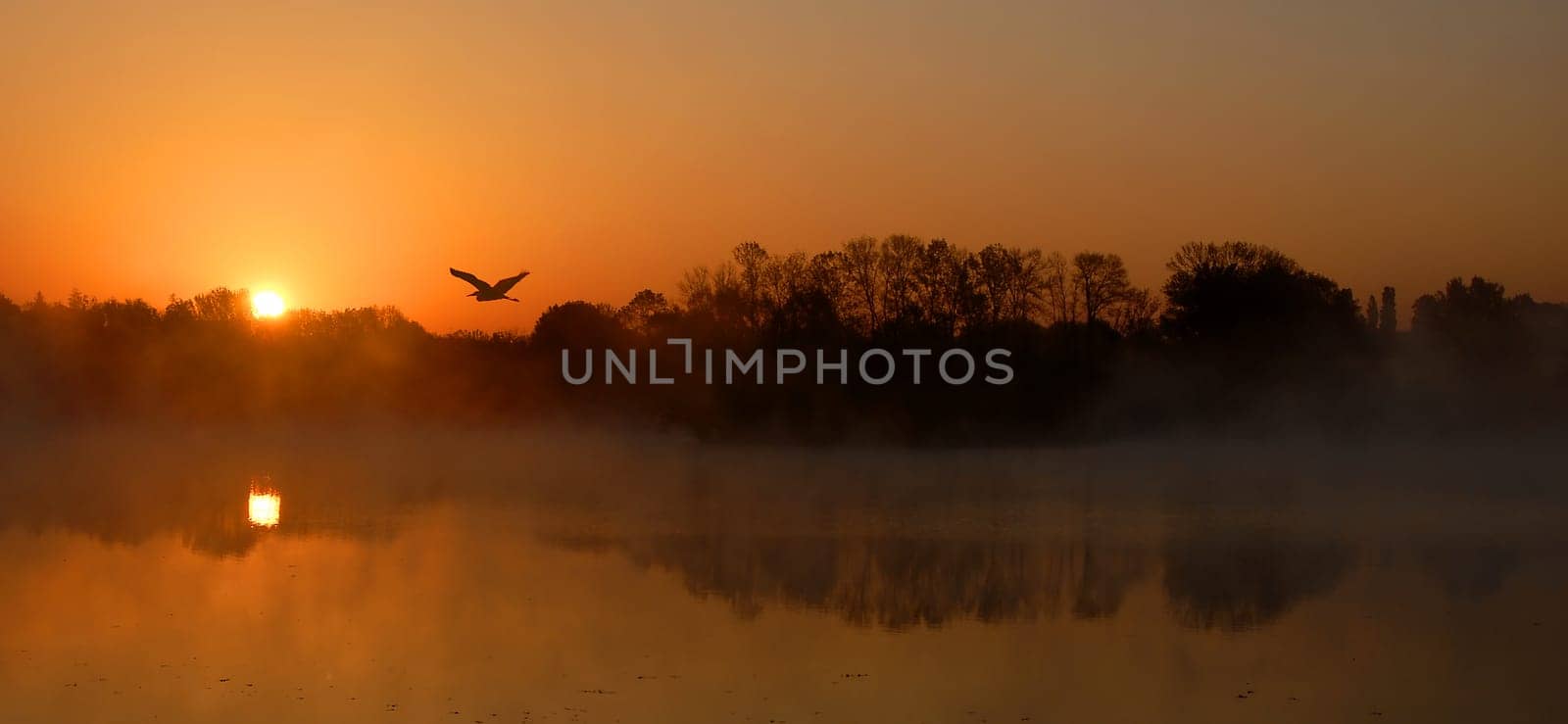 This morning at a quarry pond in Bresse in France