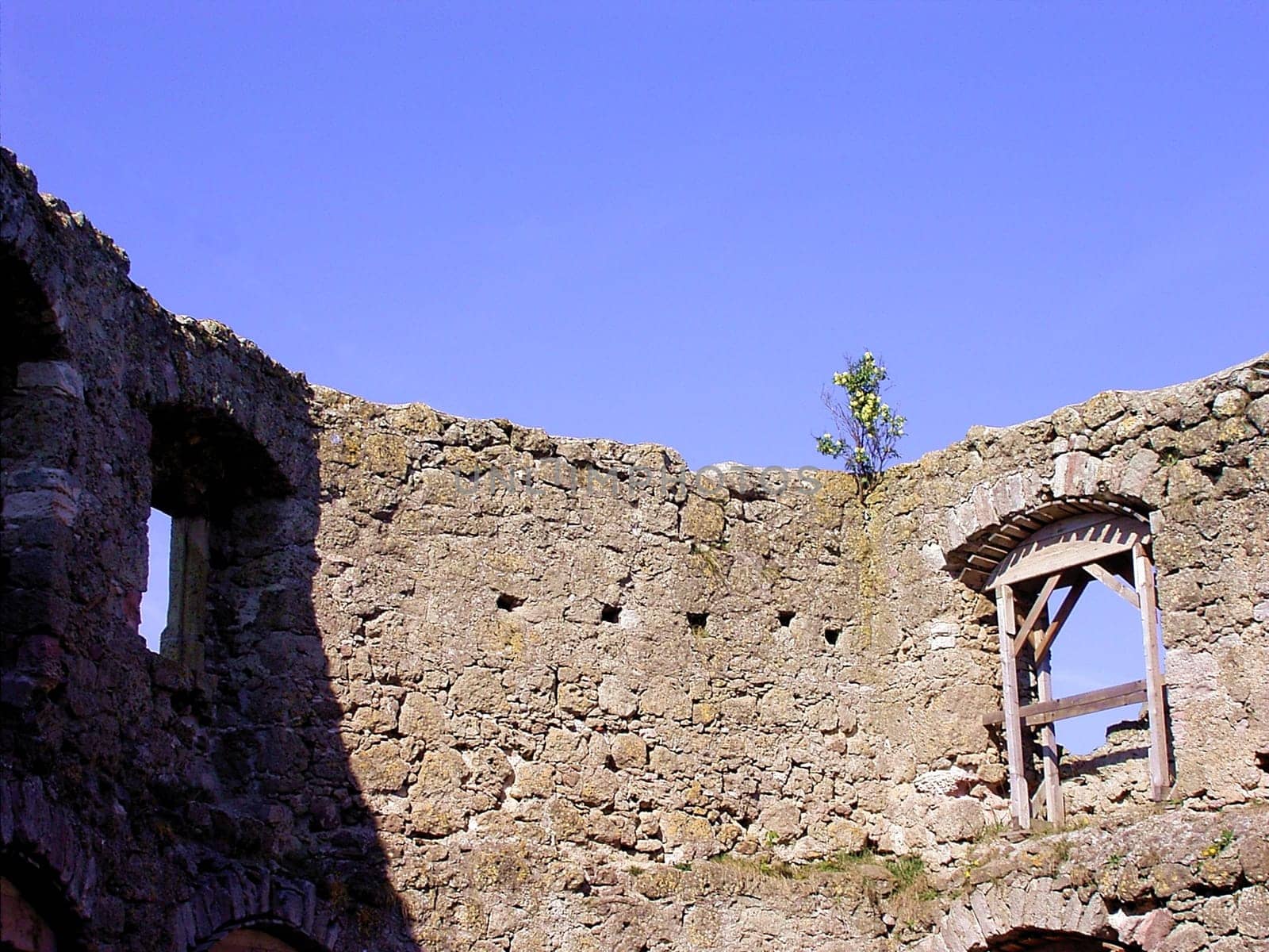 Castle ruins near Bad Liebenstein