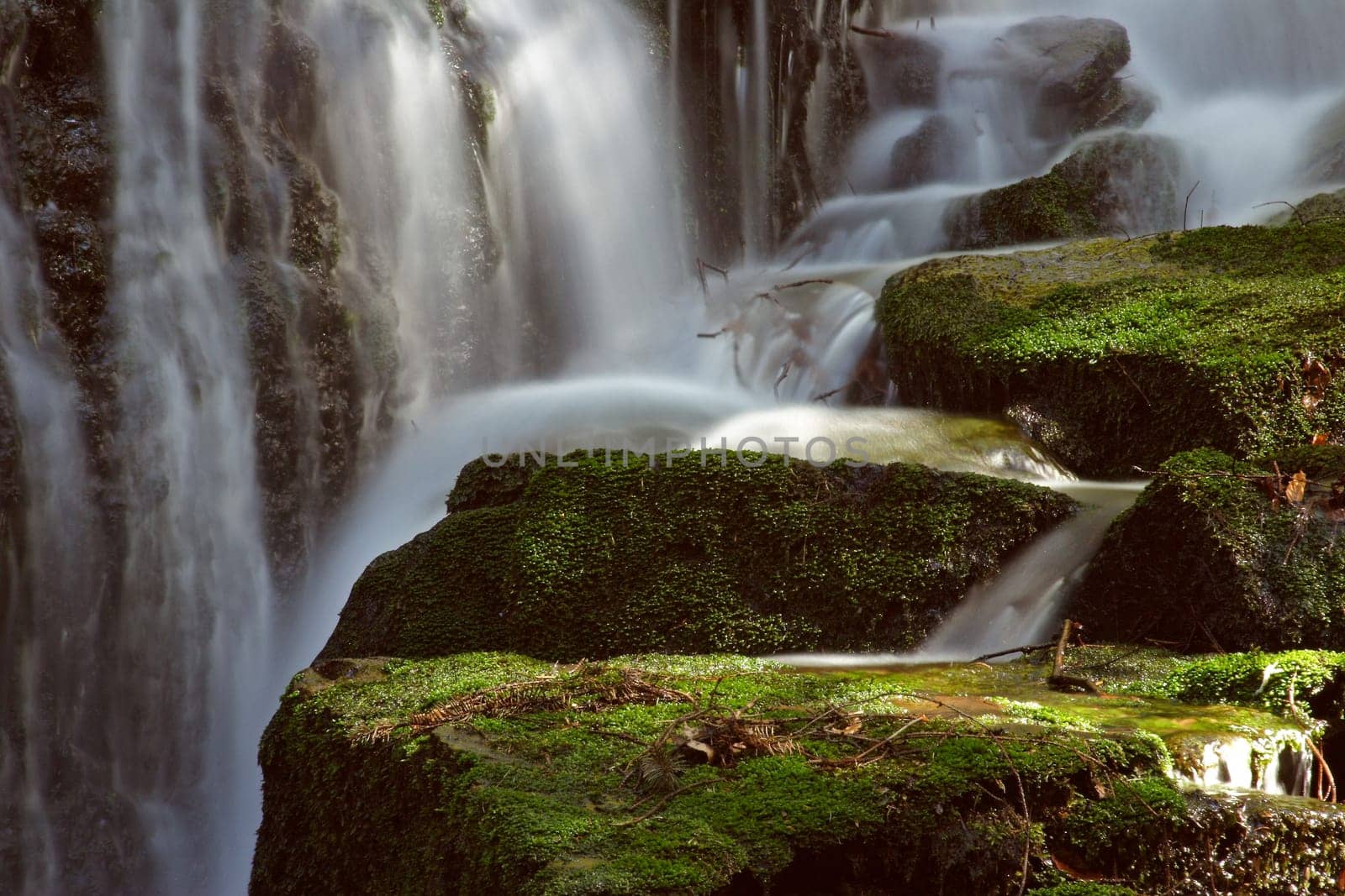 Torrent