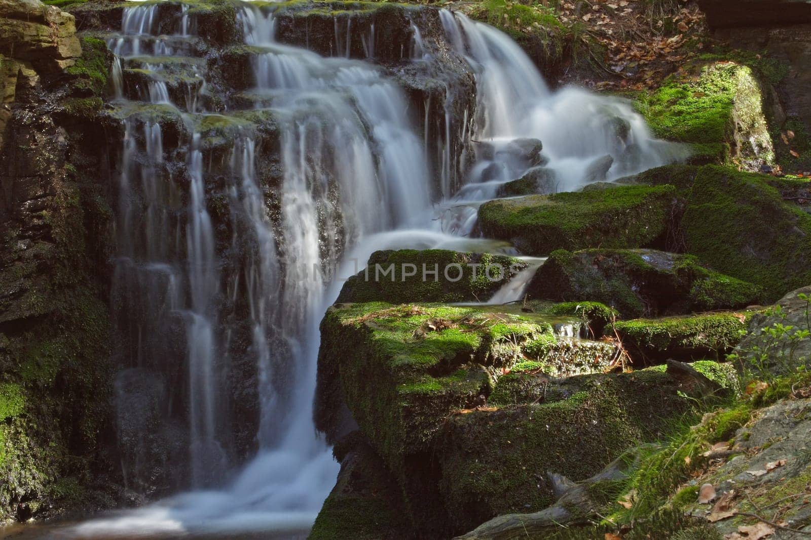 Pure nature