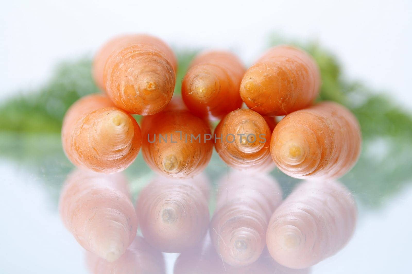 Carrots with reflection