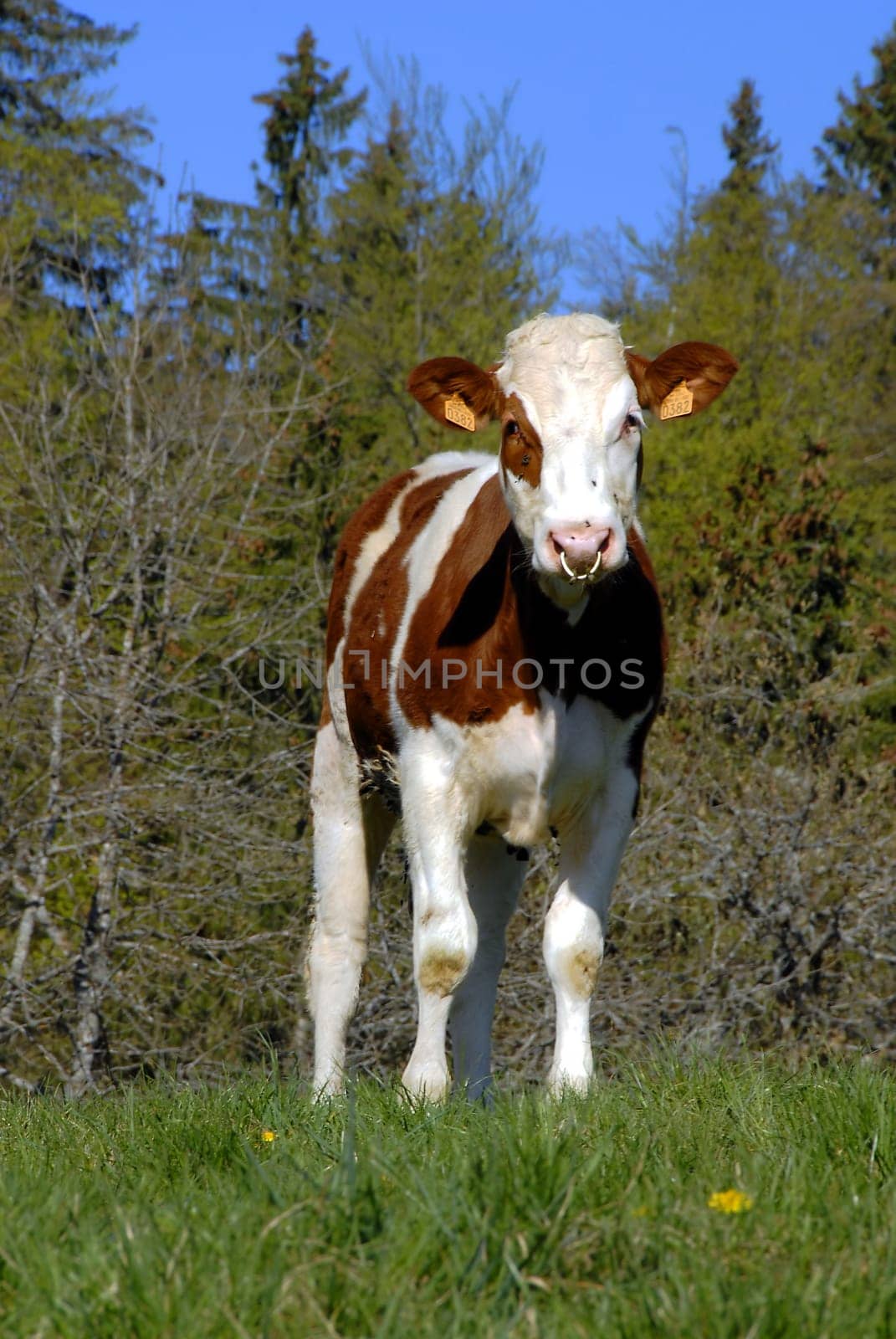 Seen on the drive through the French Jura.