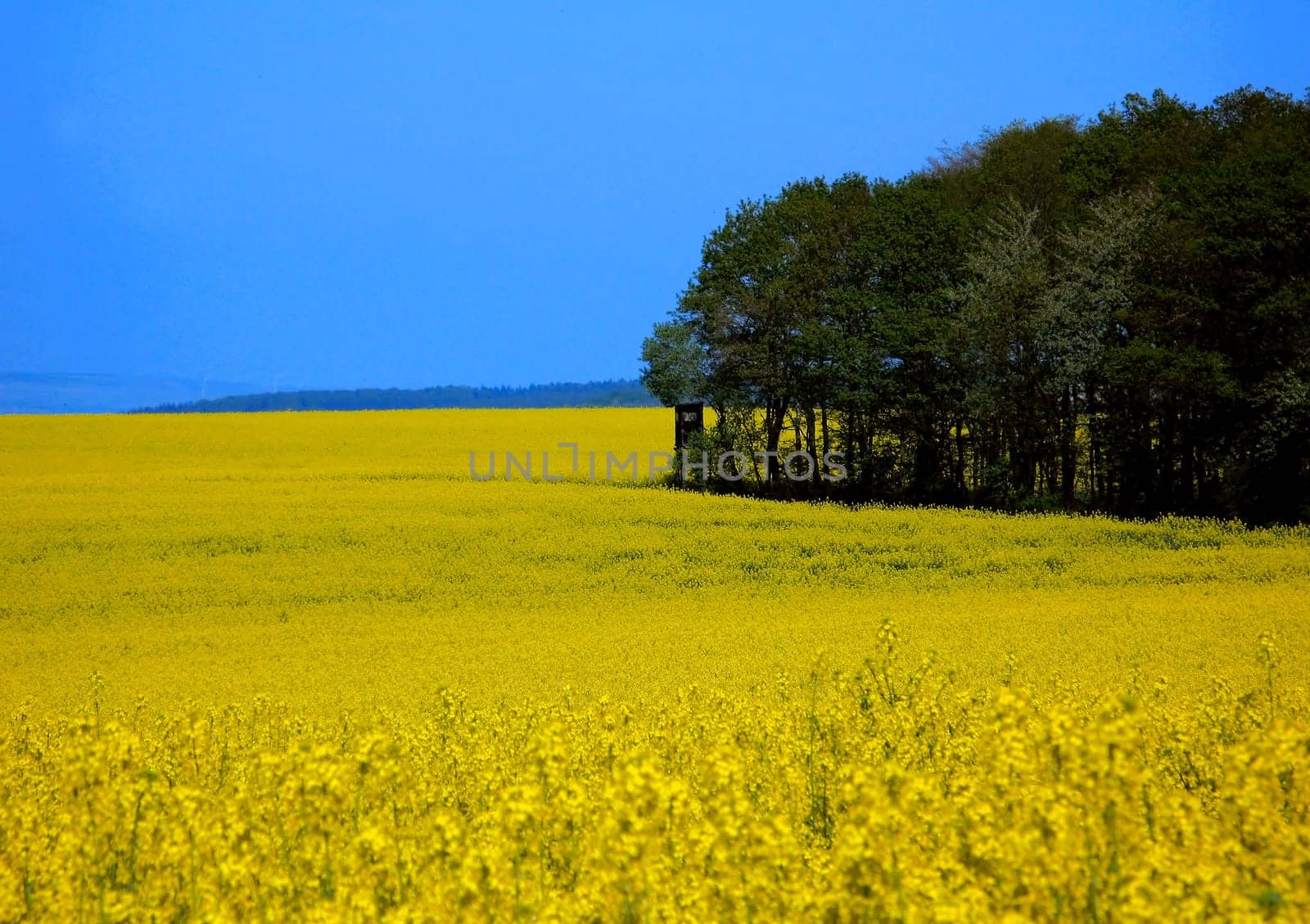 April colors