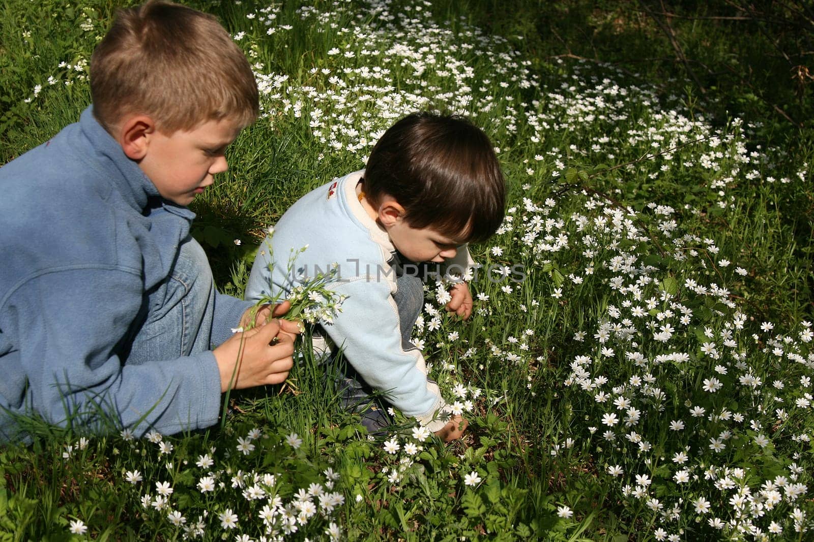 Flowers for mom