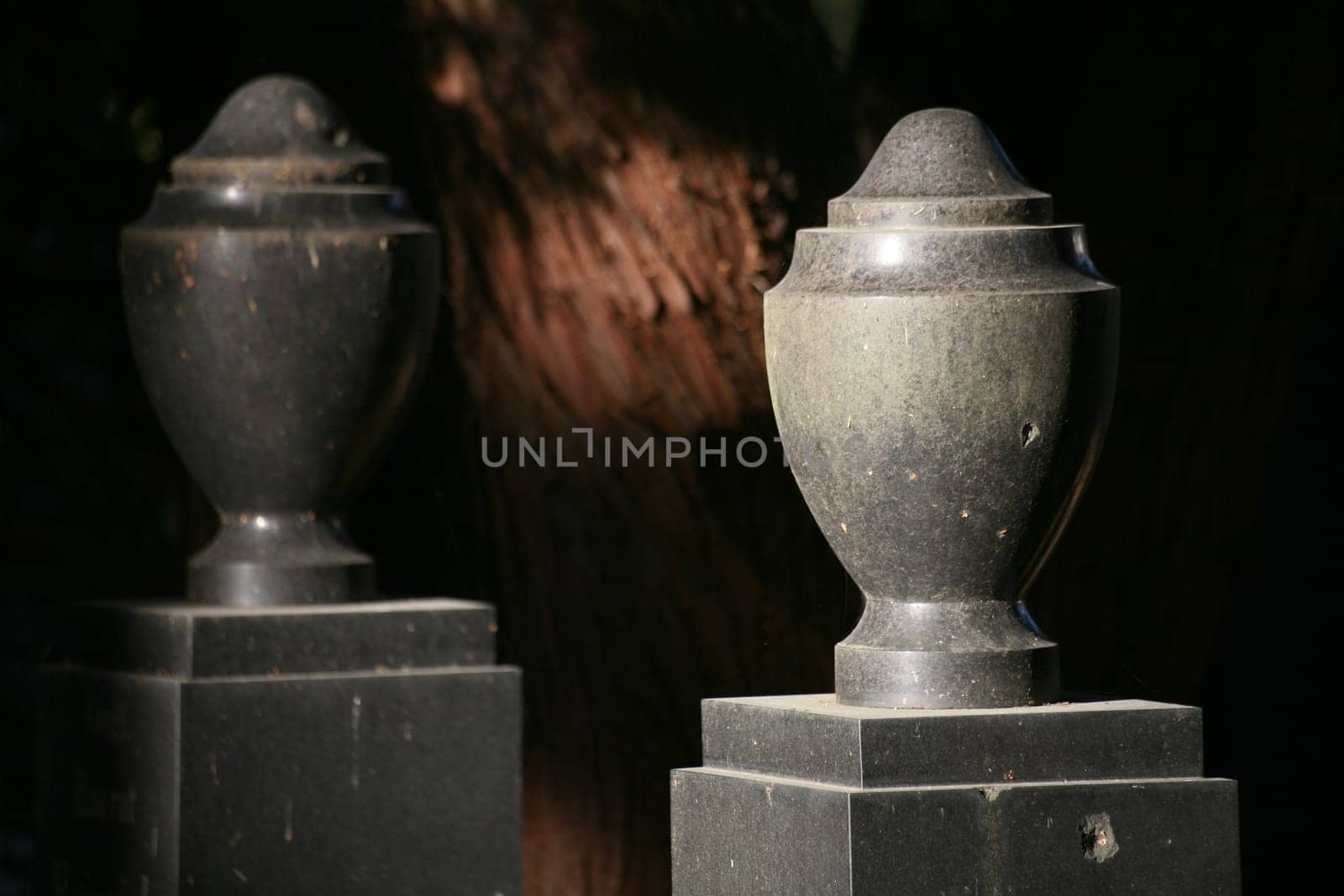 In an old cemetery