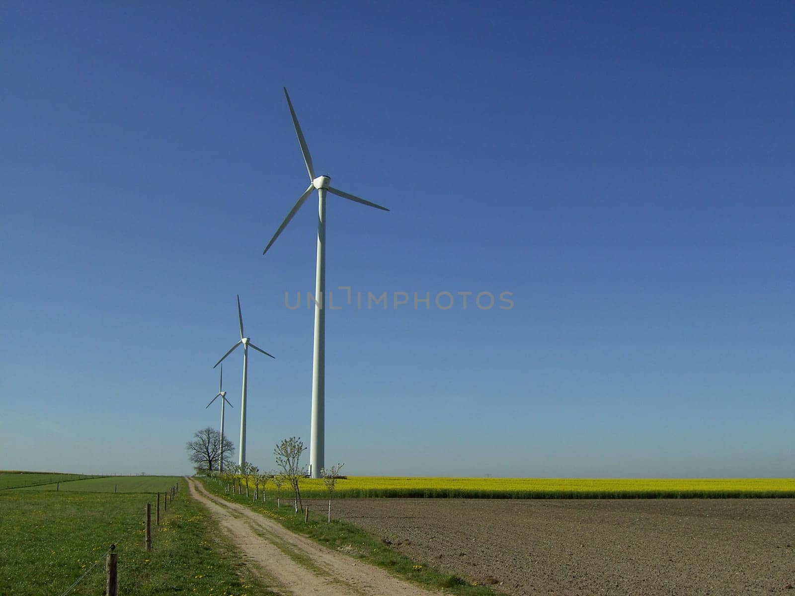 Wind turbine 15