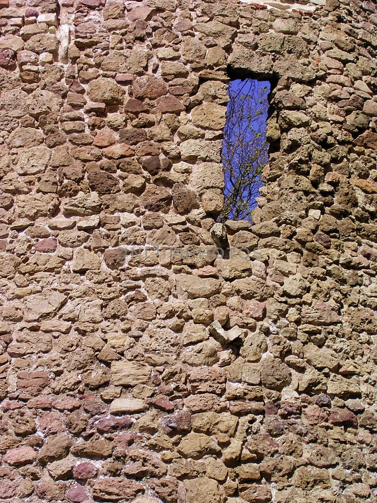 Perspective 04