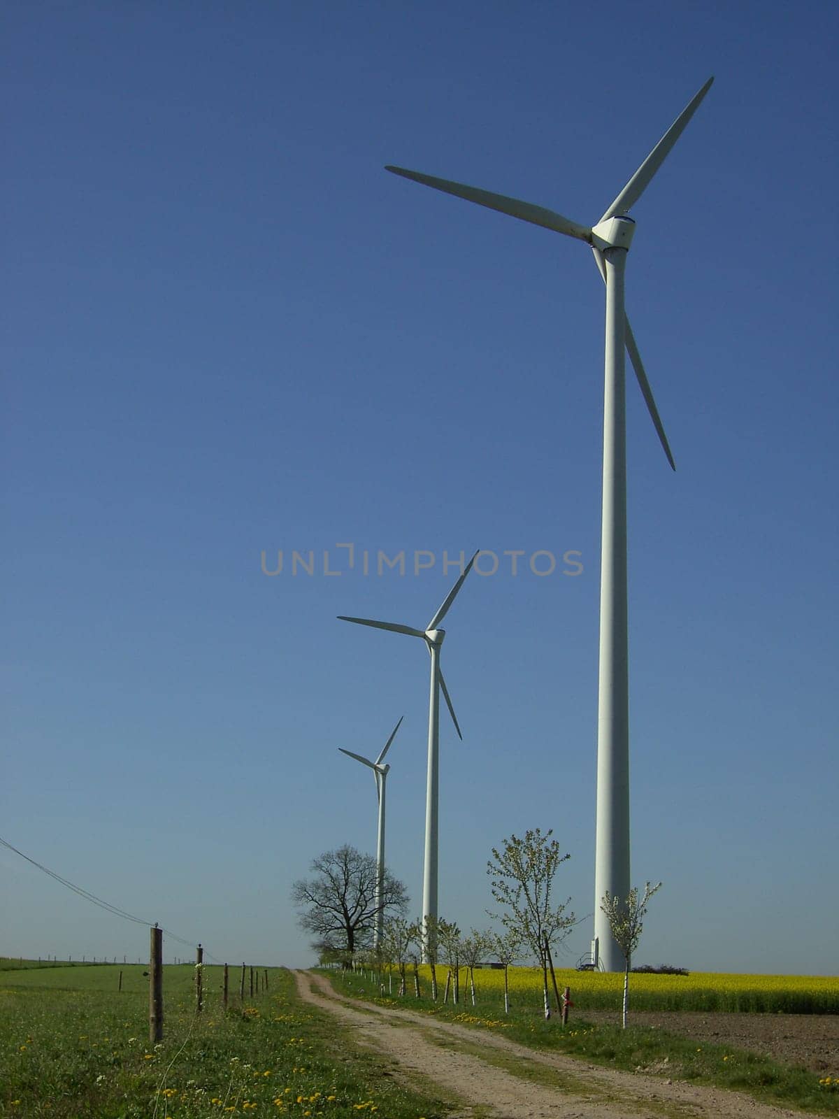 Wind turbine 16