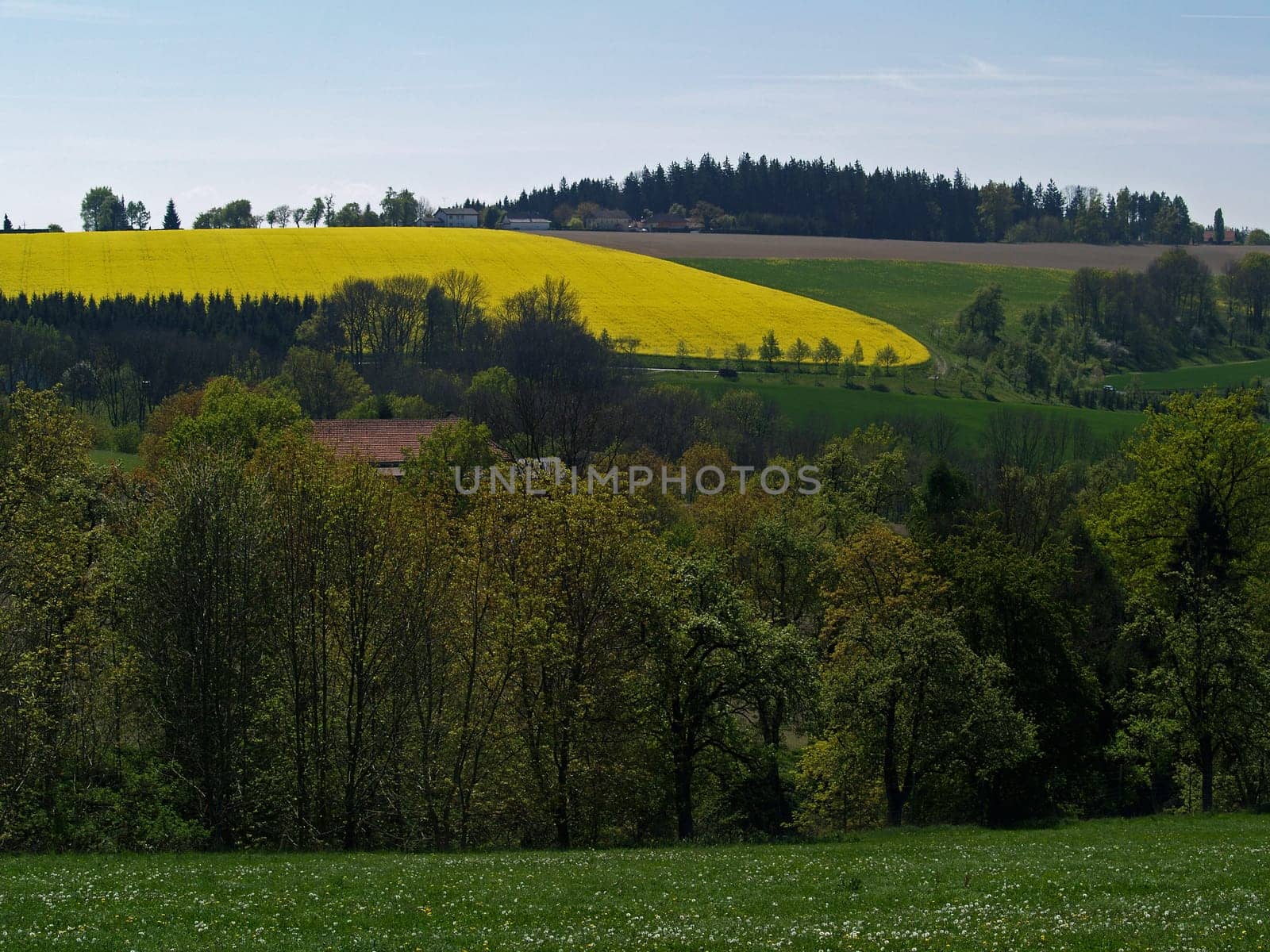 Spring Landscape 4