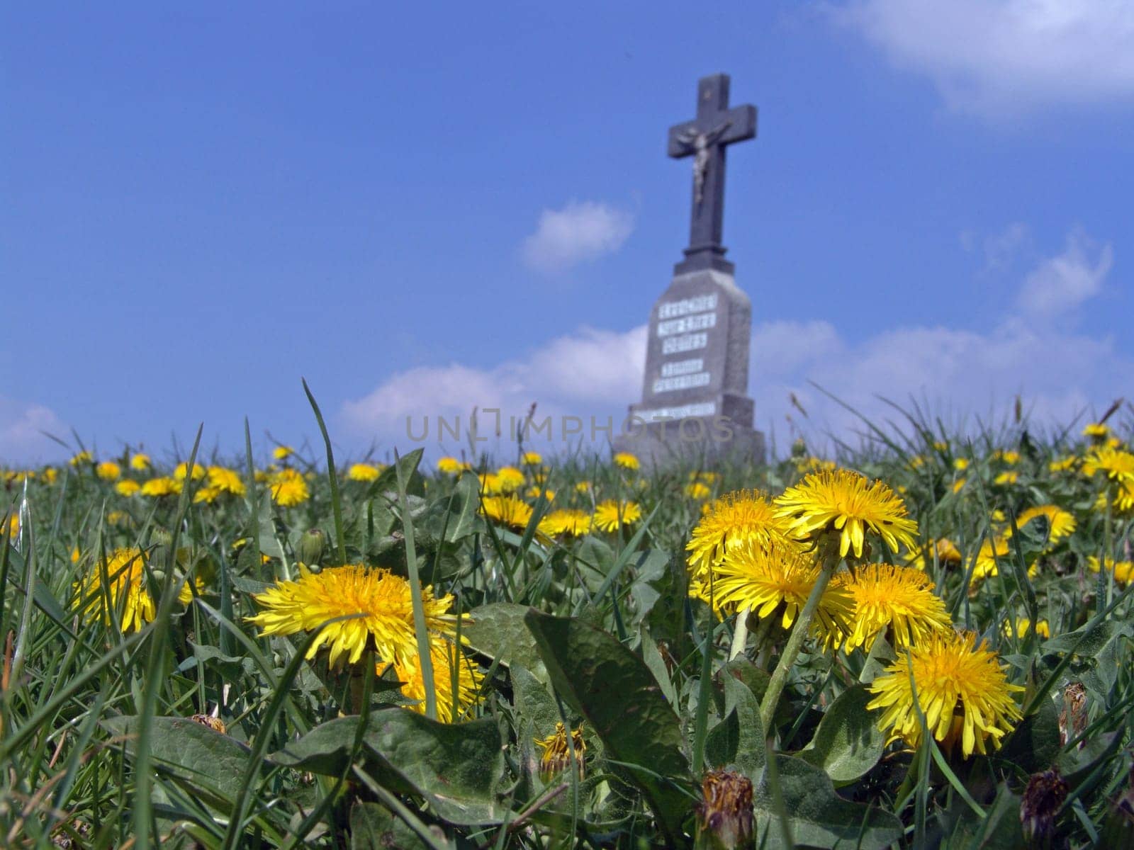 Field Cross