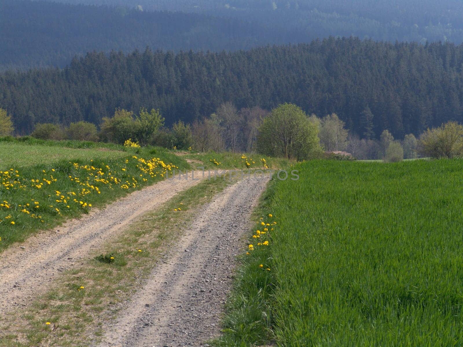 Dirt road