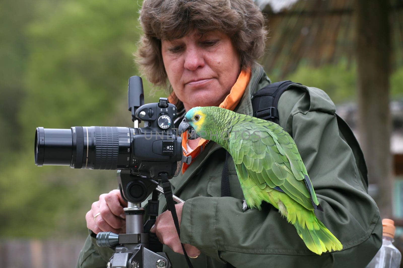 My (photo) friend Antje (digitier) trying to photograph a blue-fronted amazon. But he liked it much better behind the camera than in front of him :-)