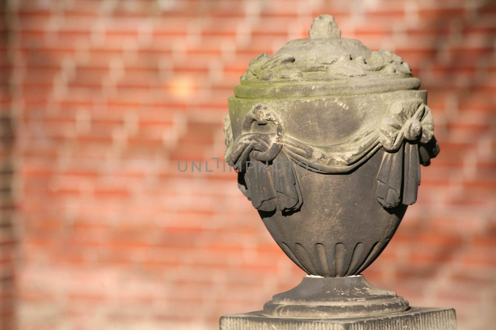 In an old cemetery
