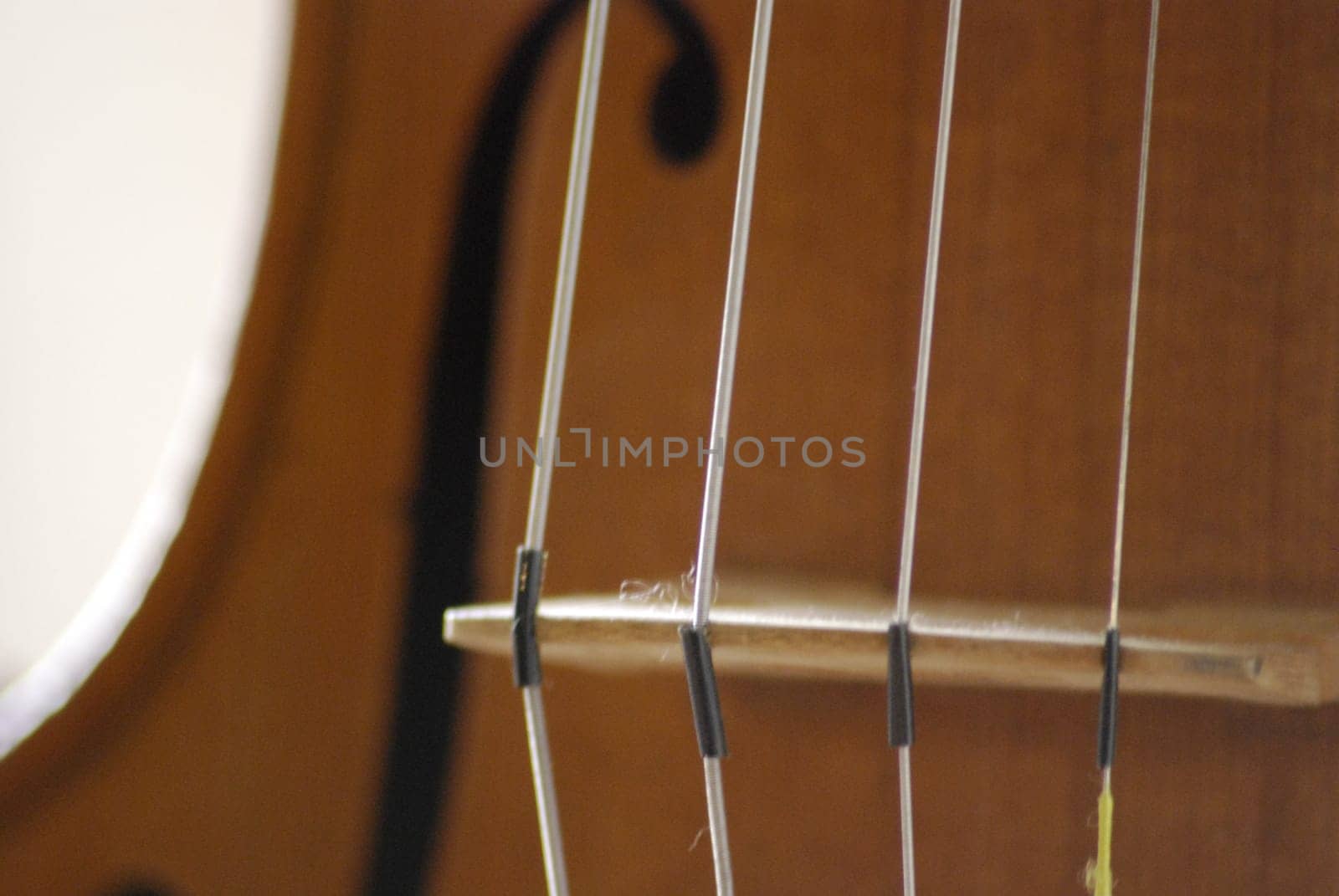 Detail of a violin