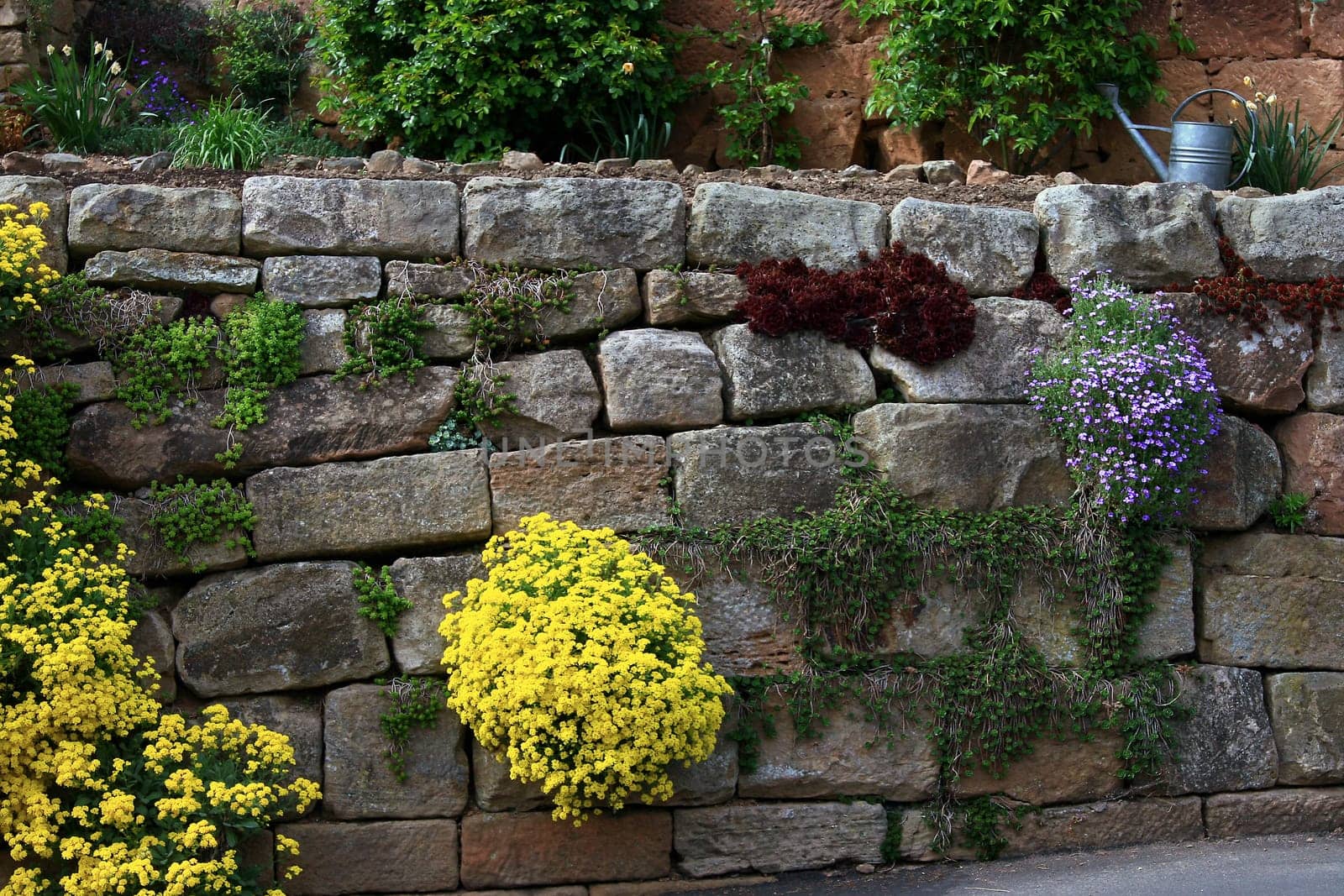Dry stone wall