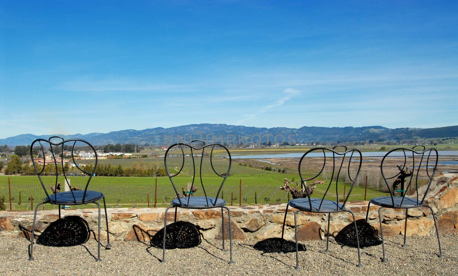 Views of the Napa Valley