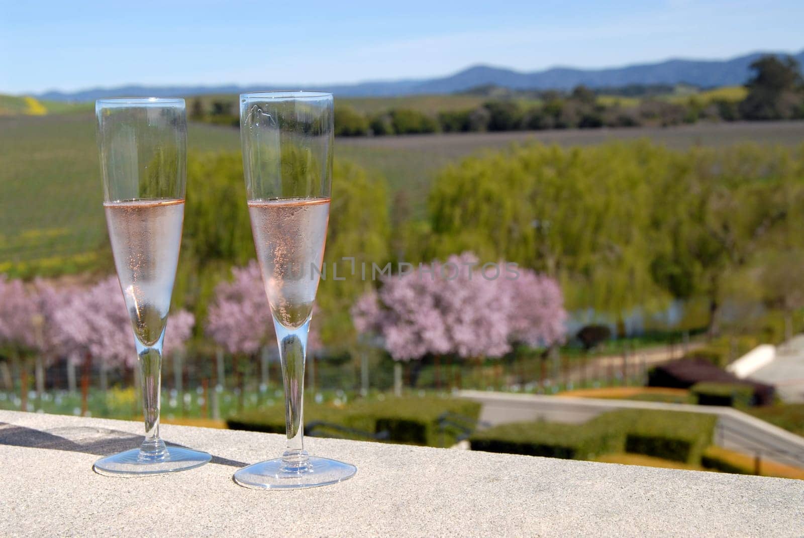 Sparkling wine rosé
