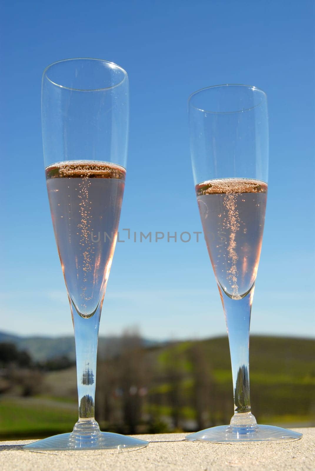 Sparkling wine rosé