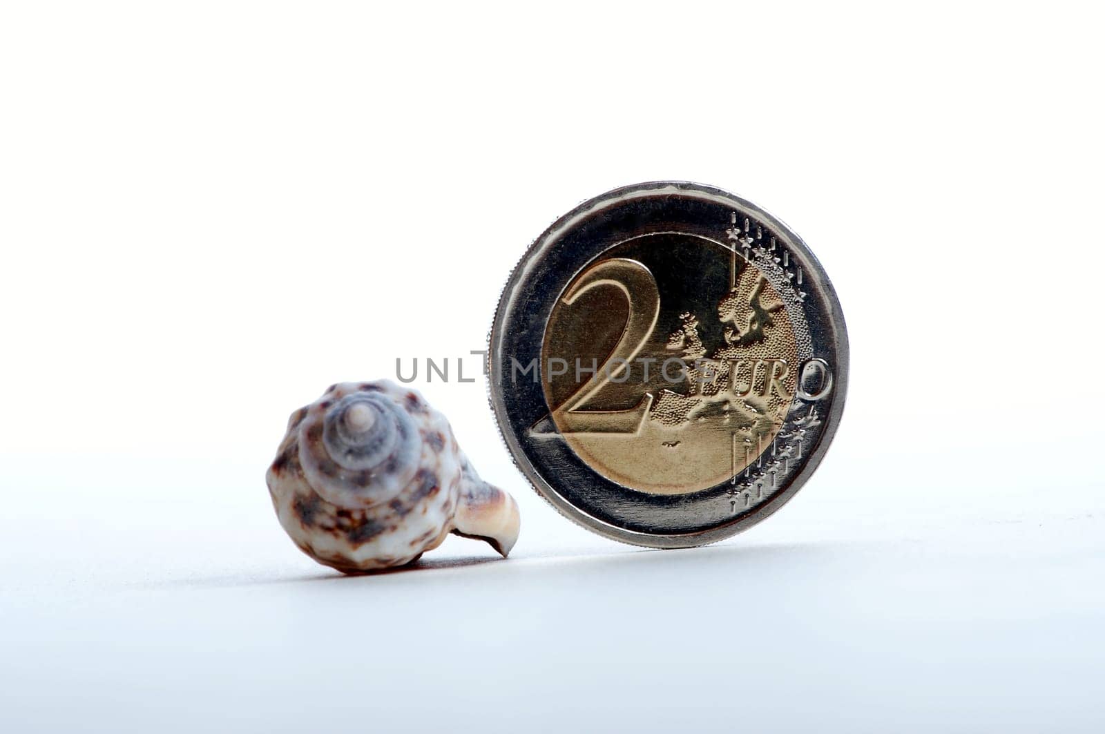 A shell and a shiny 2 euro coin as symbolism for holiday pay / holiday fund released in the studio. Backlight optical illusion of the inclined plane