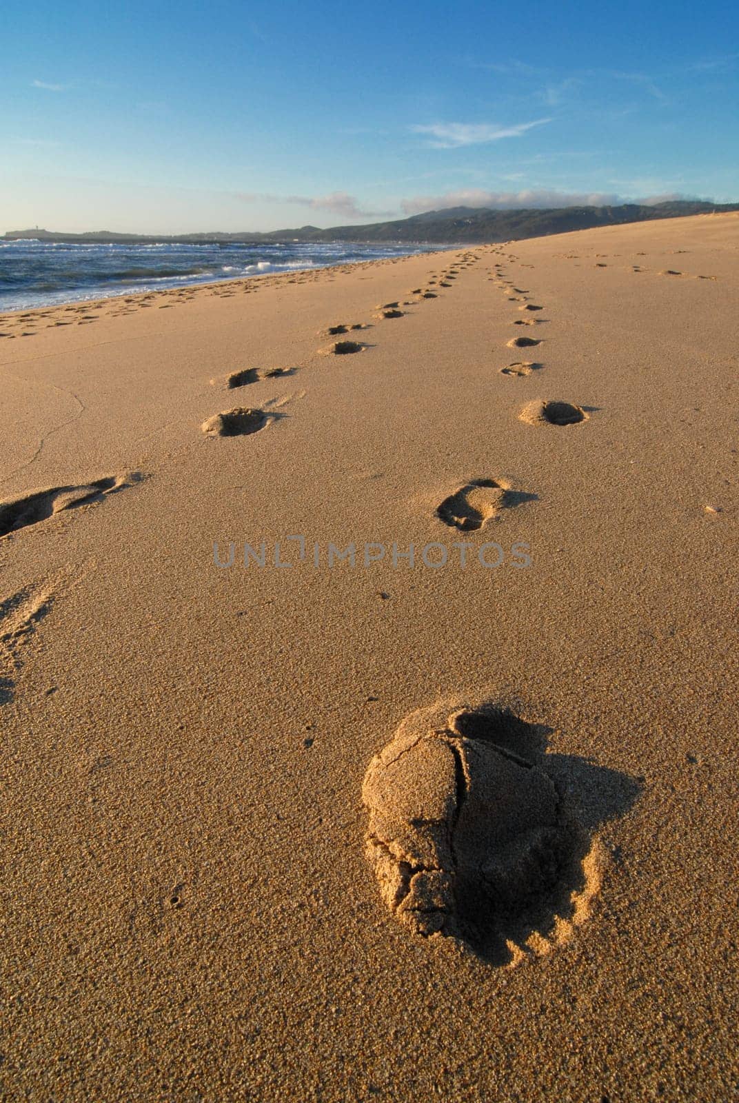 Tracks in the sand