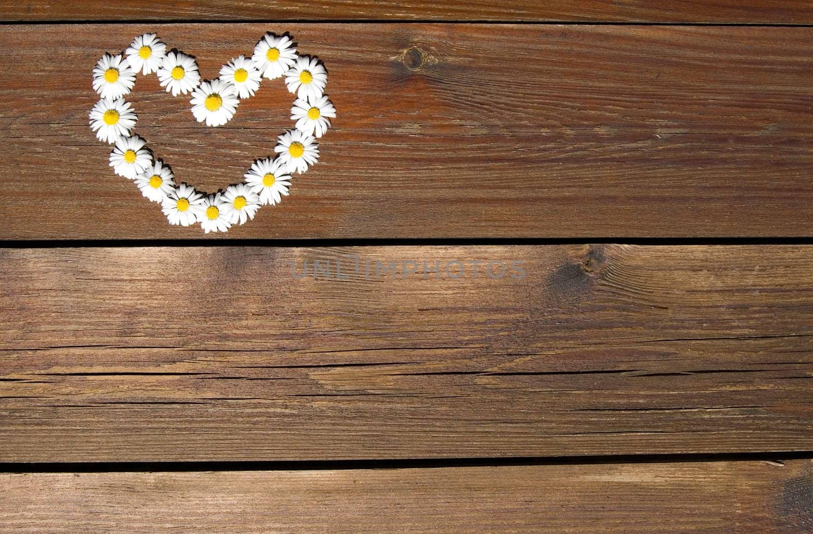 Heart of flowers