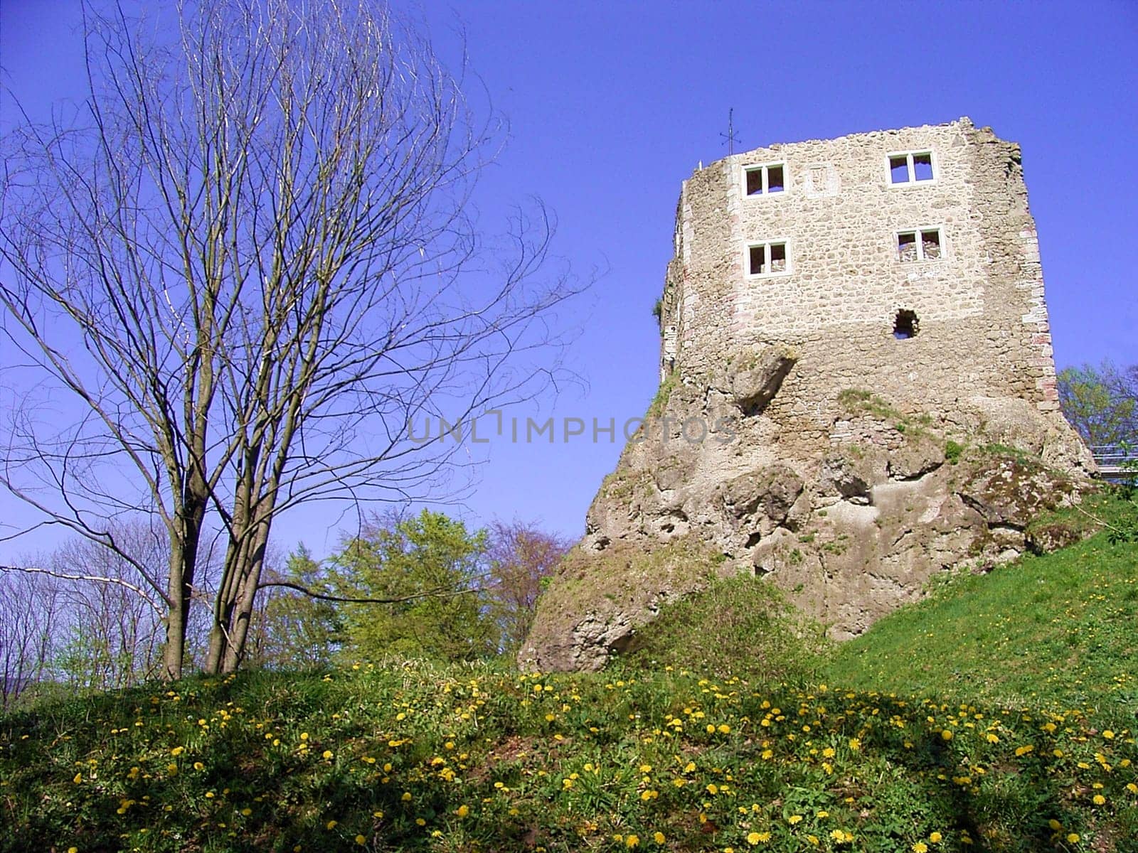 Castle ruins near Bad Liebenstein