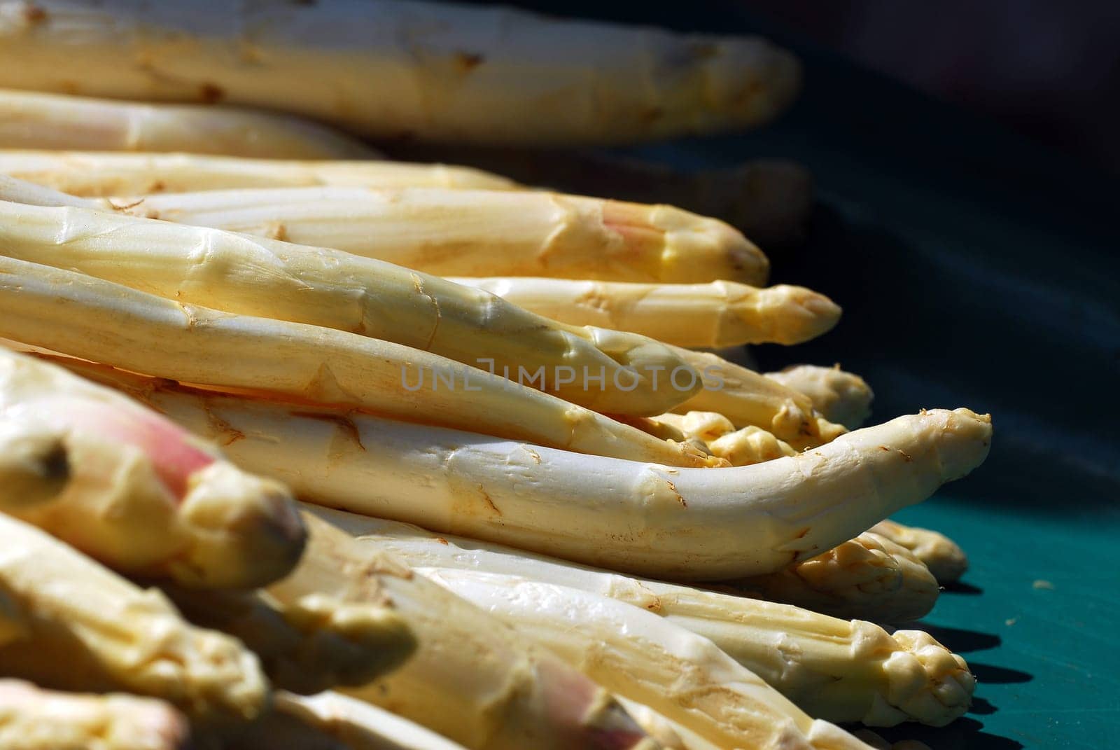 white asparagus
