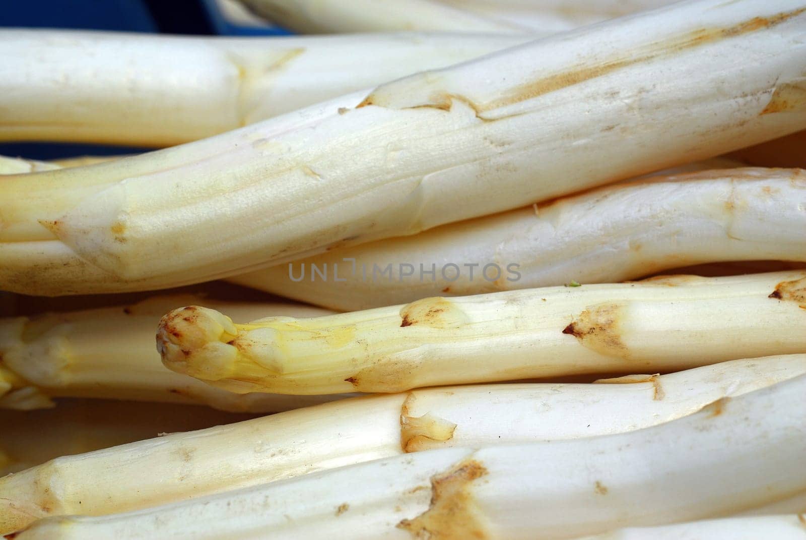 Asparagus spears