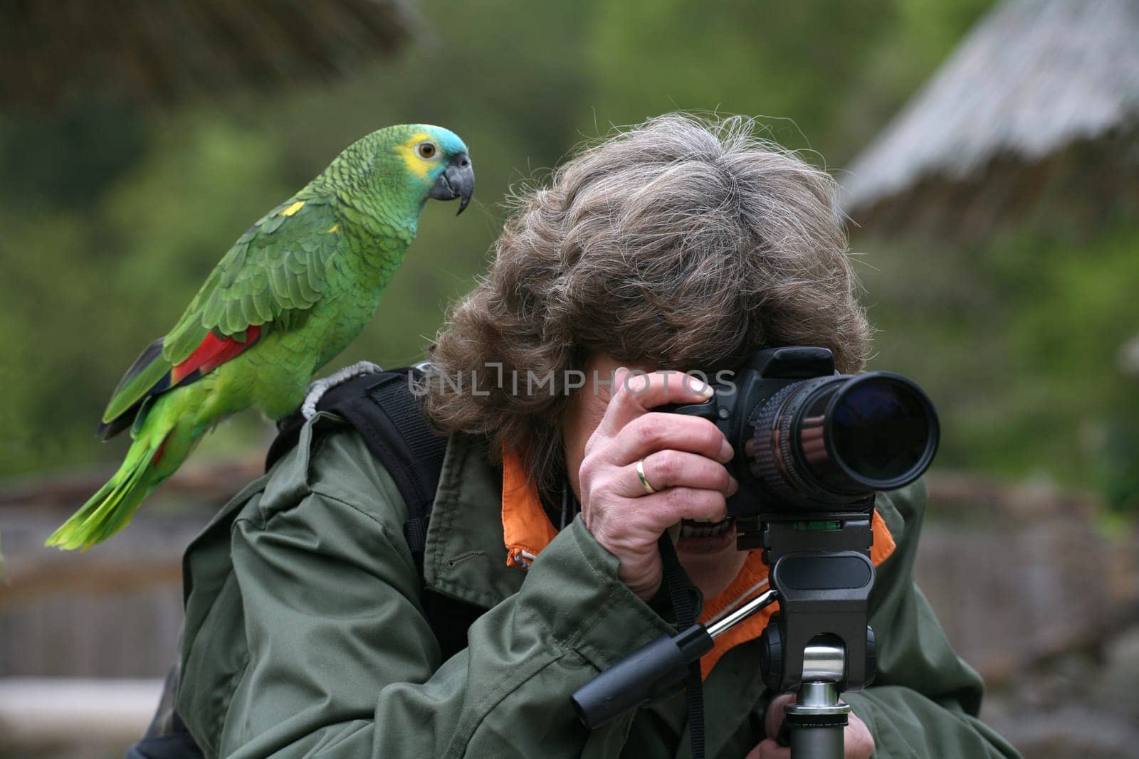 My (photo) friend Antje (digitier) trying to photograph a blue-fronted amazon. But he liked it much better behind the camera than in front of him :-)