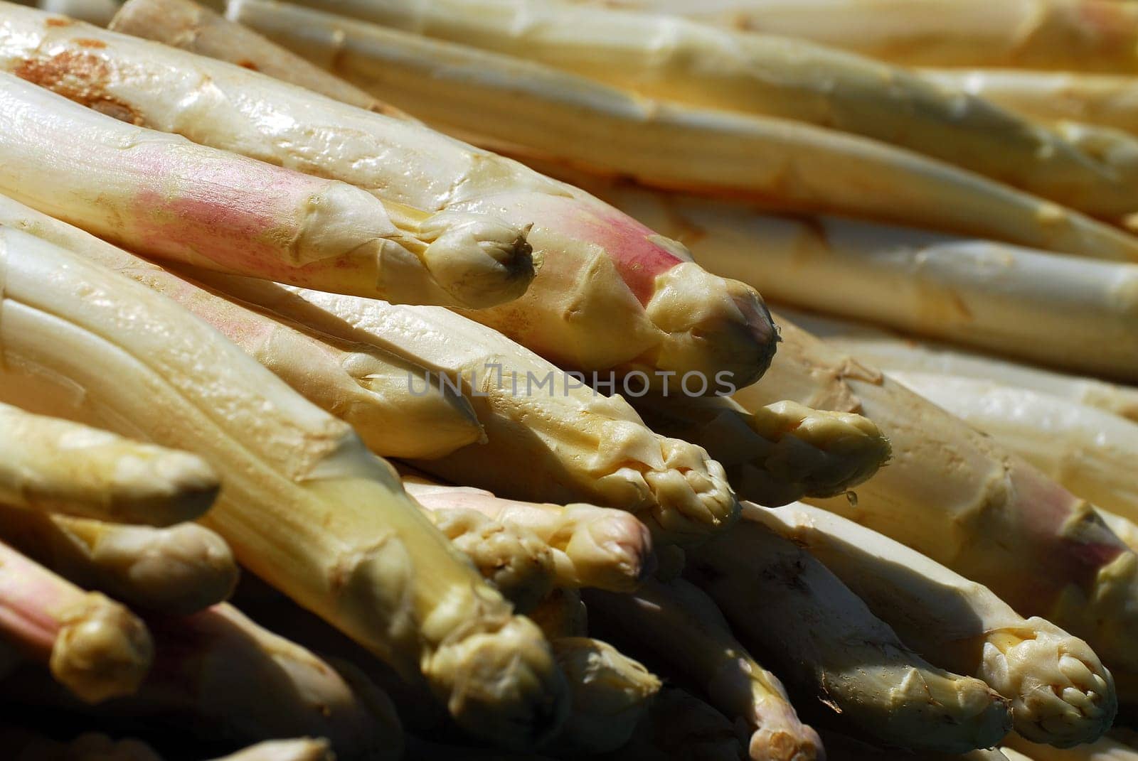 Asparagus