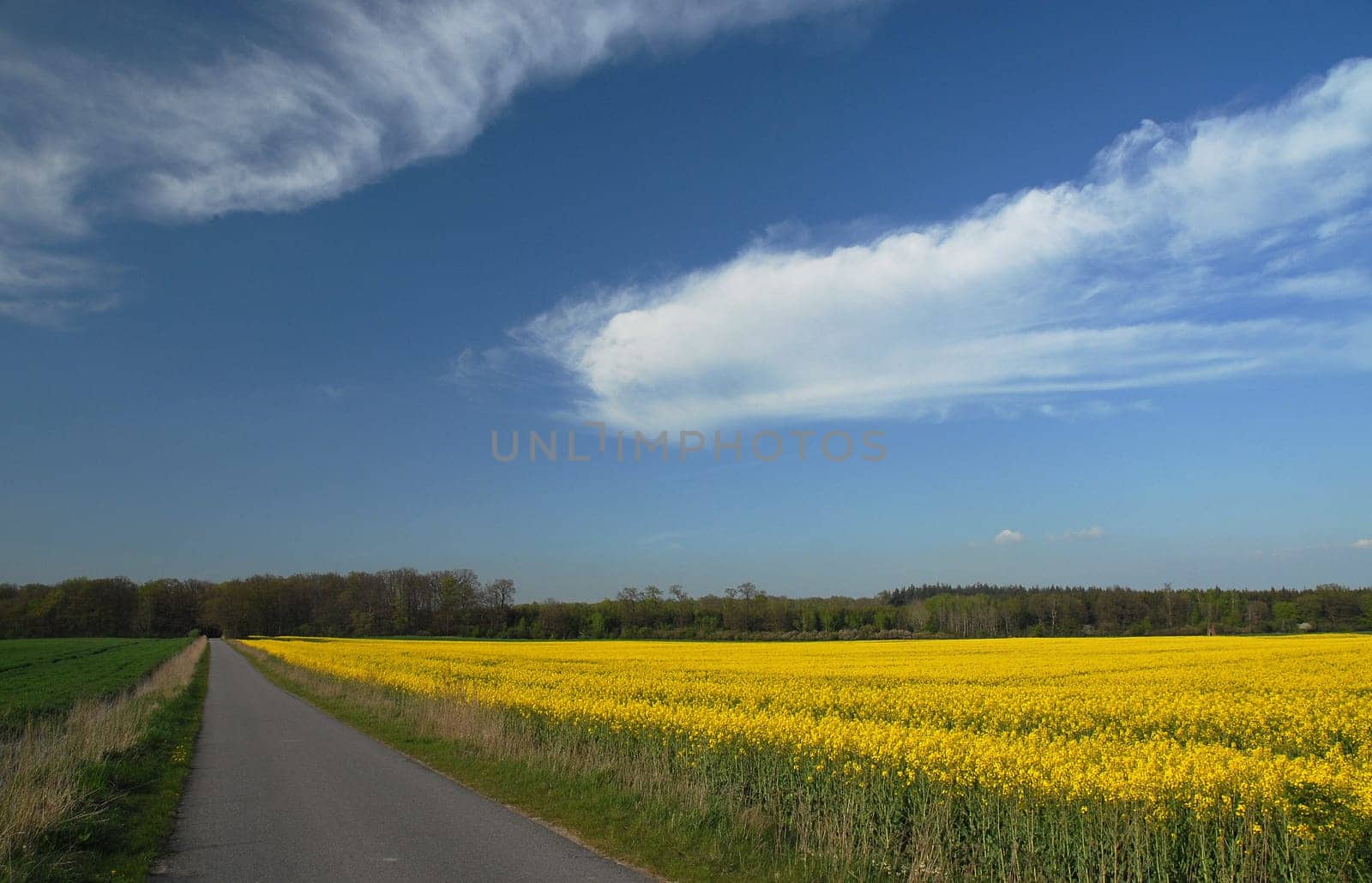 Once again I was on my way to work on our country road......!:-)