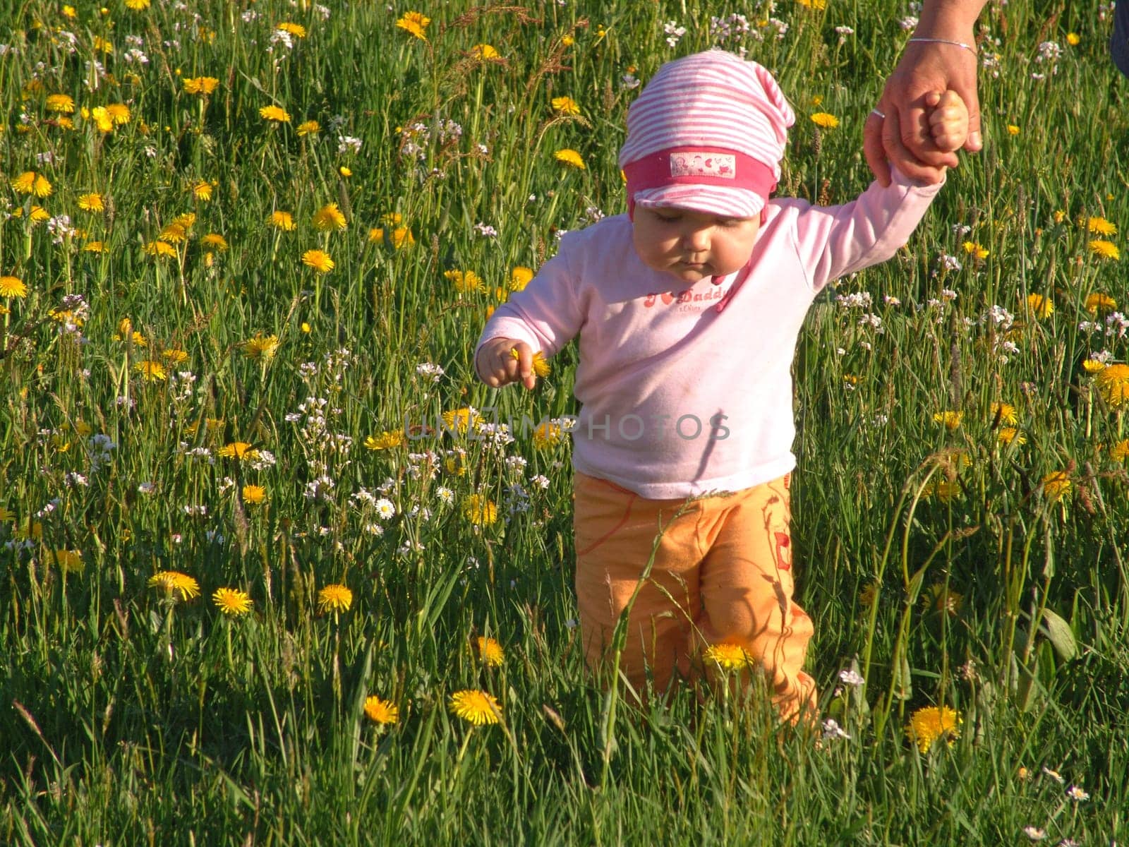 Child in flower meadow