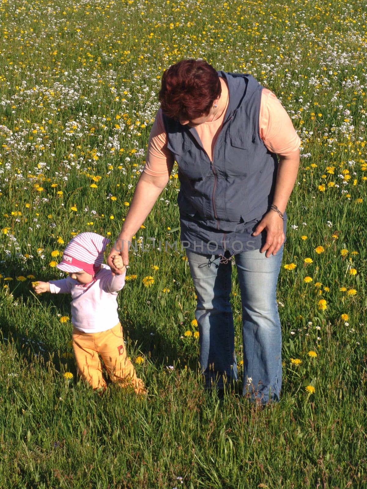In the flower meadow