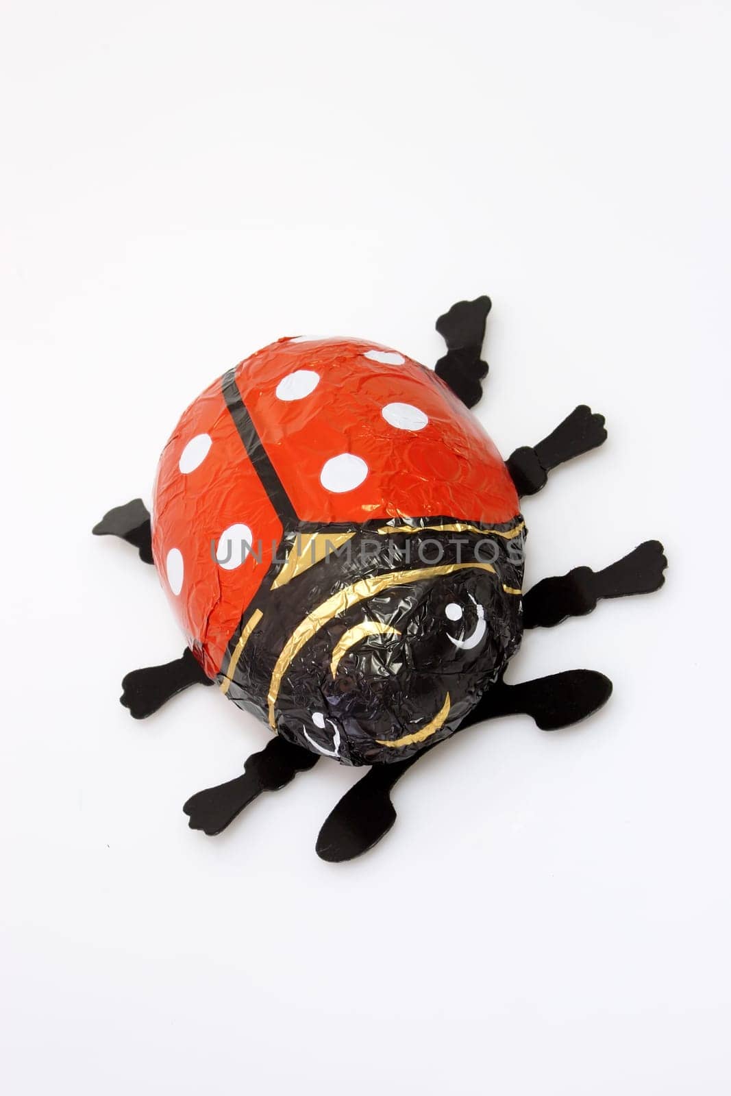 Ladybird