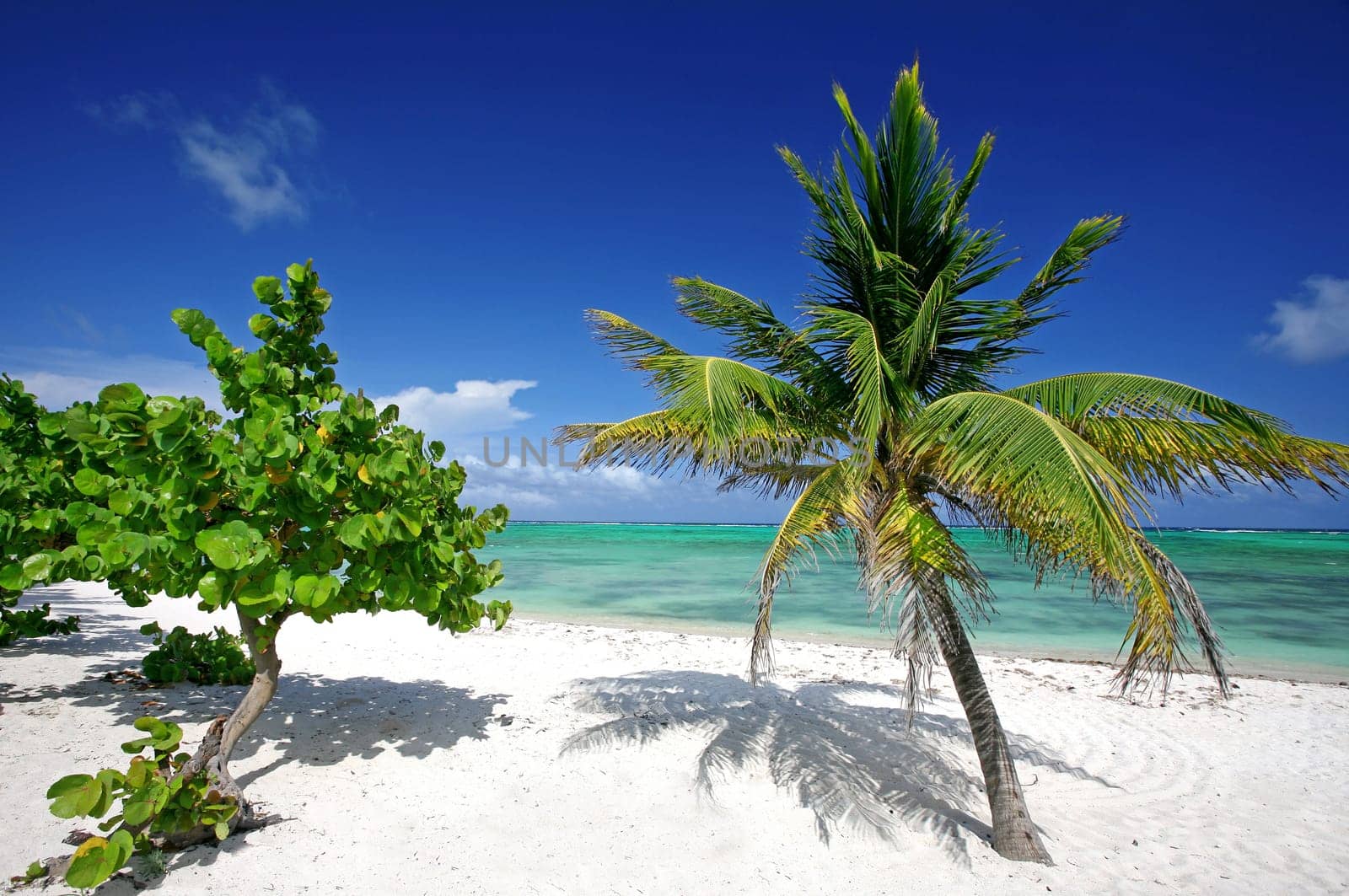 Dream beach