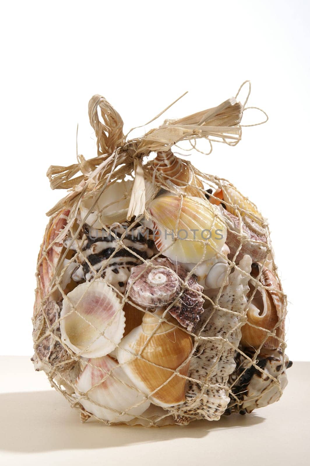 Shell Collection